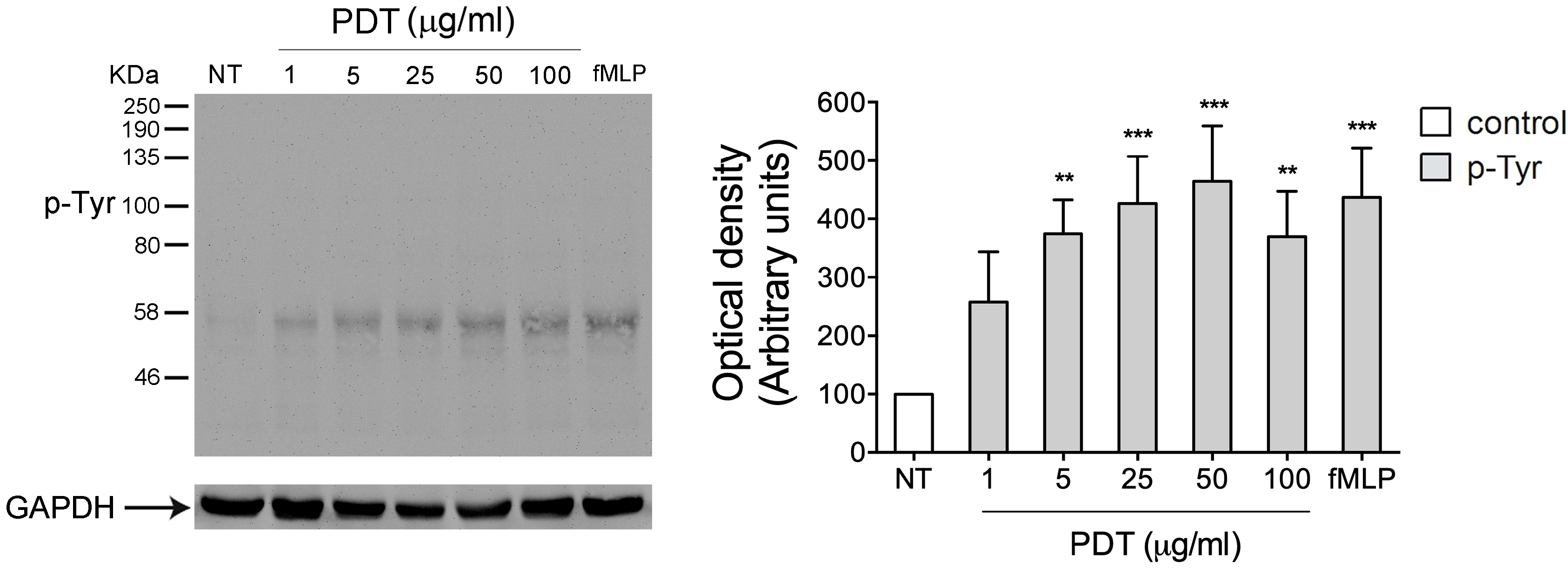 Ijms 20 05287 g001 Ijms 20 05287 g001