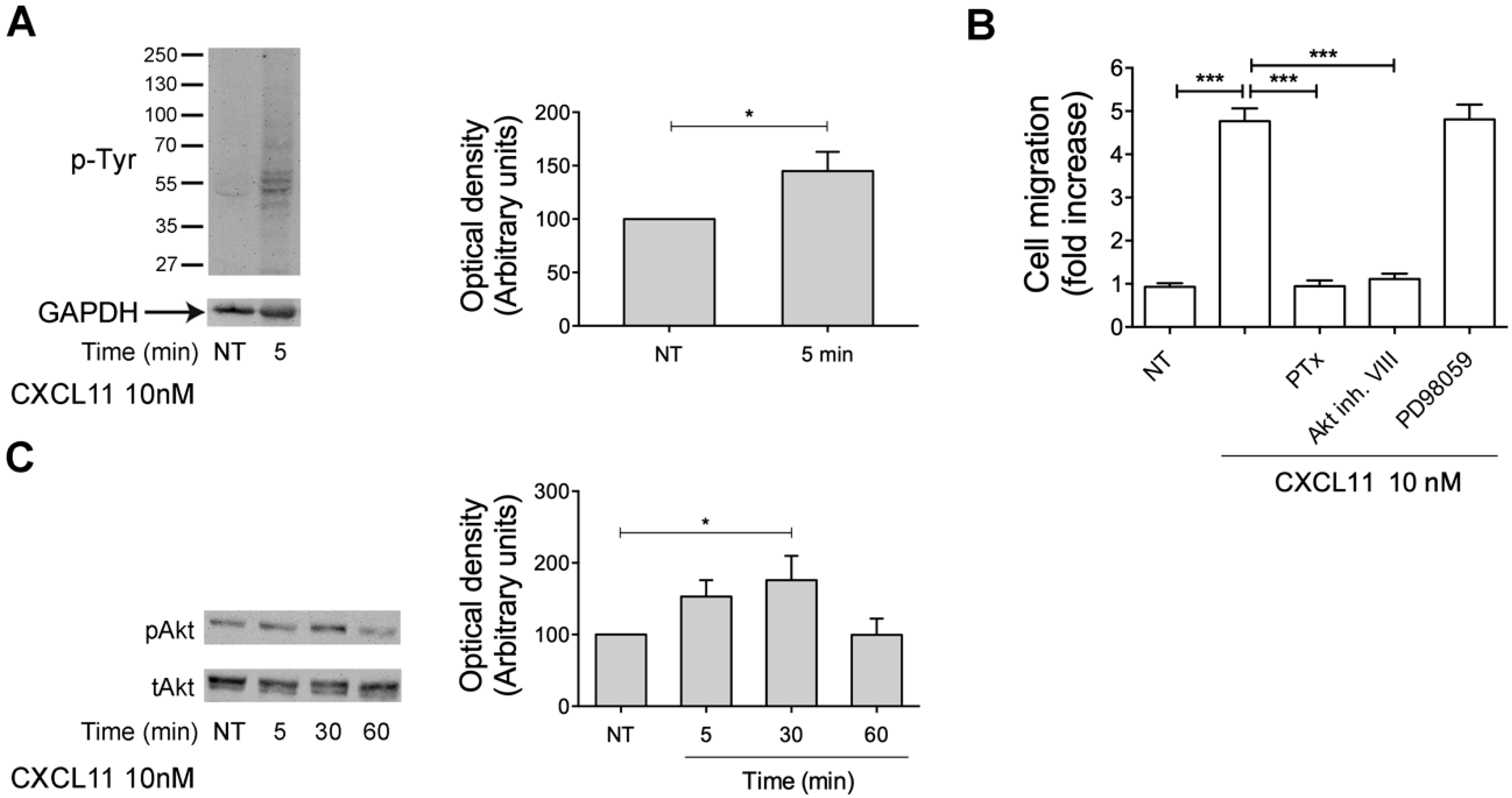 Ijms 20 05287 g006 Ijms 20 05287 g006