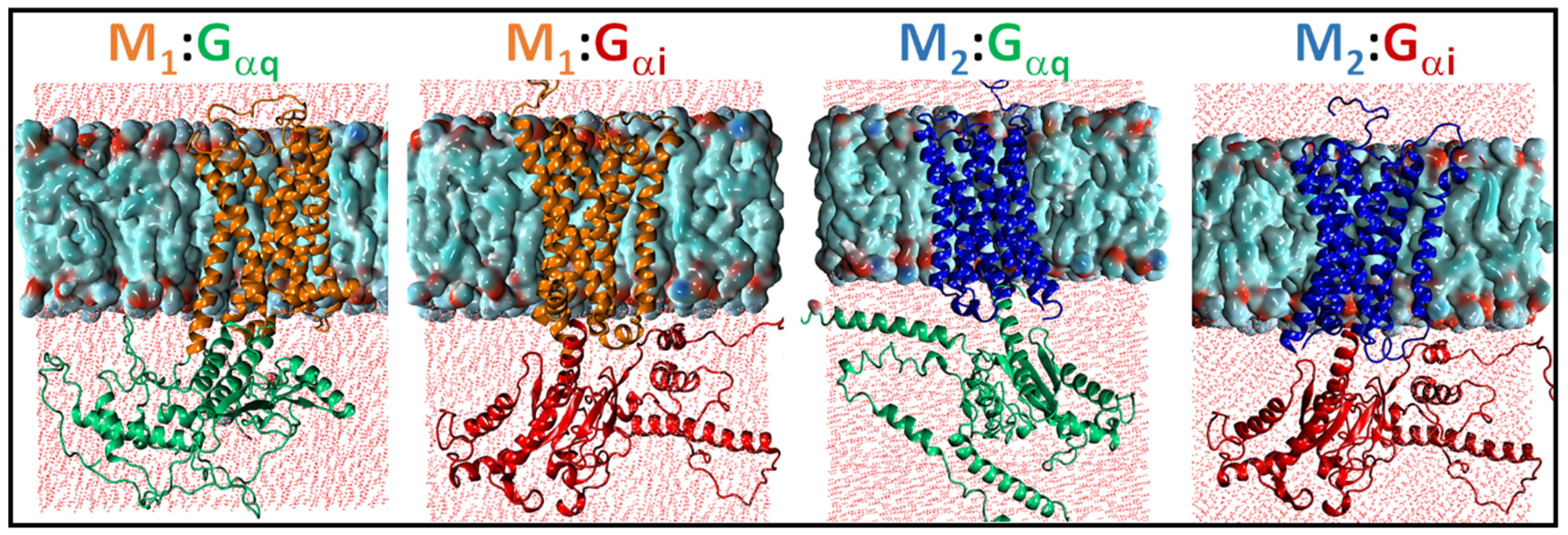 Ijms 20 05290 g002 Ijms 20 05290 g002