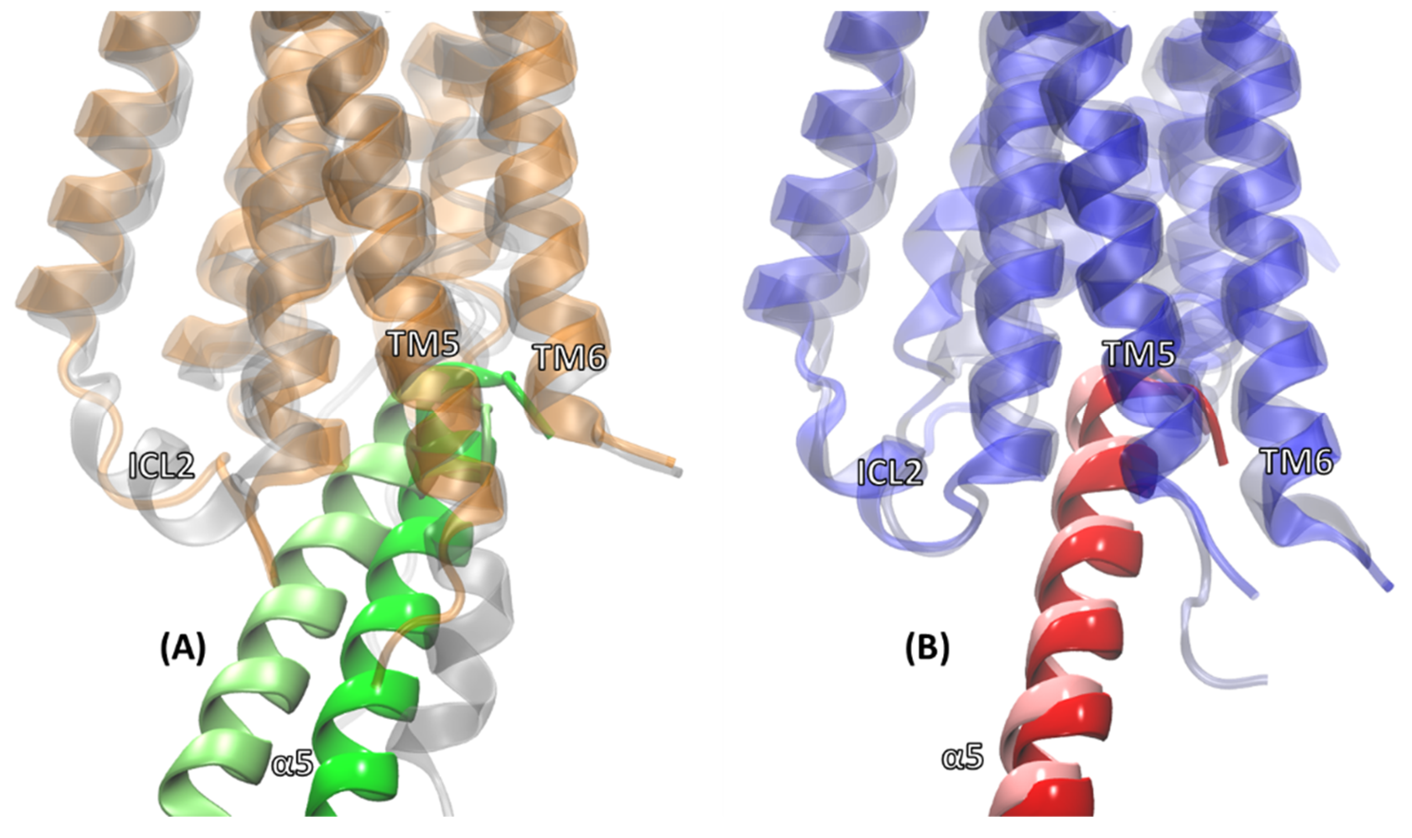 Ijms 20 05290 g005 Ijms 20 05290 g005