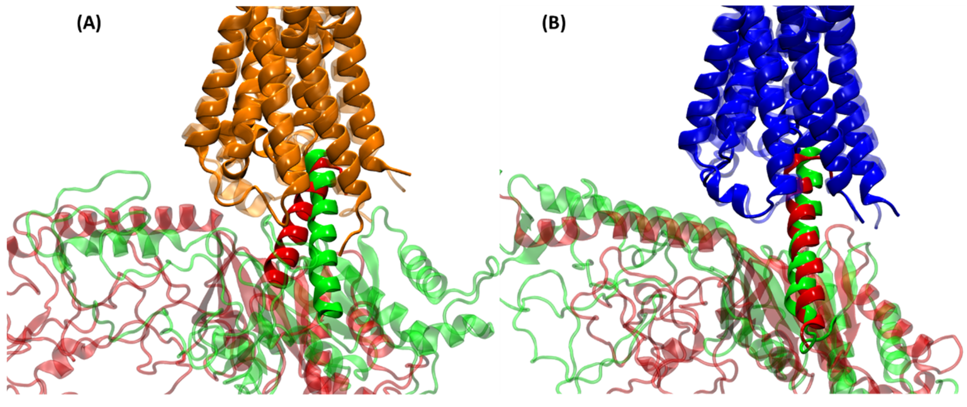 Ijms 20 05290 g006 Ijms 20 05290 g006