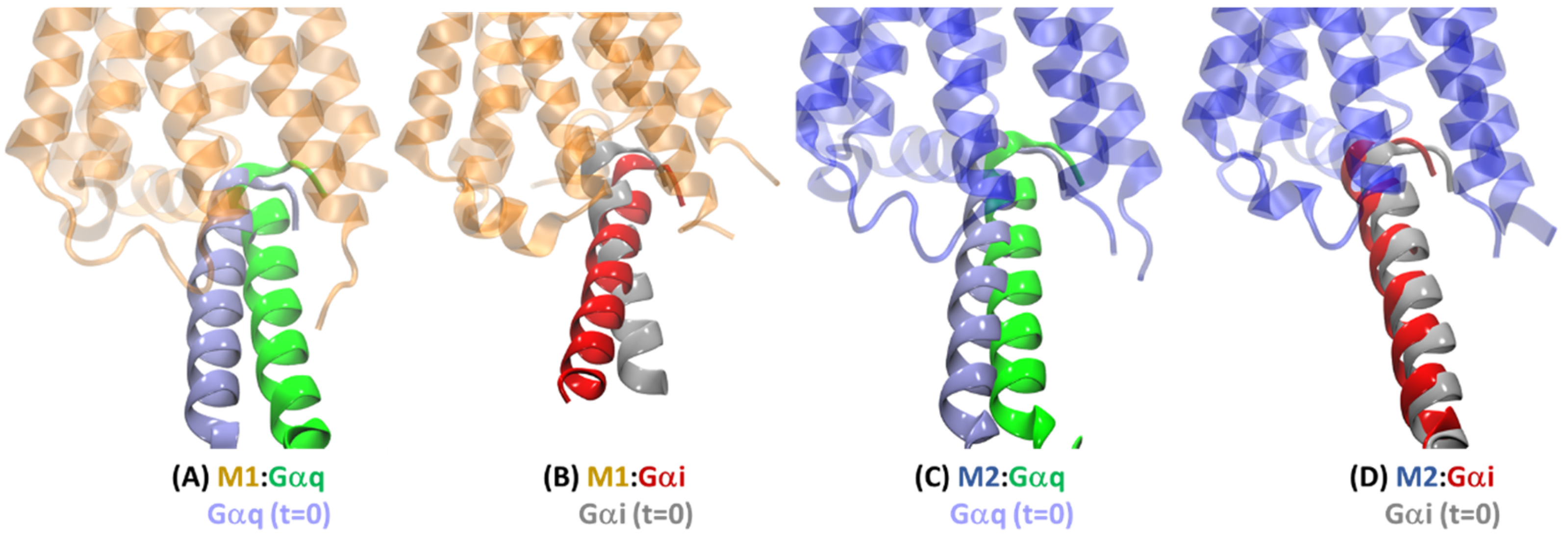 Ijms 20 05290 g007 Ijms 20 05290 g007