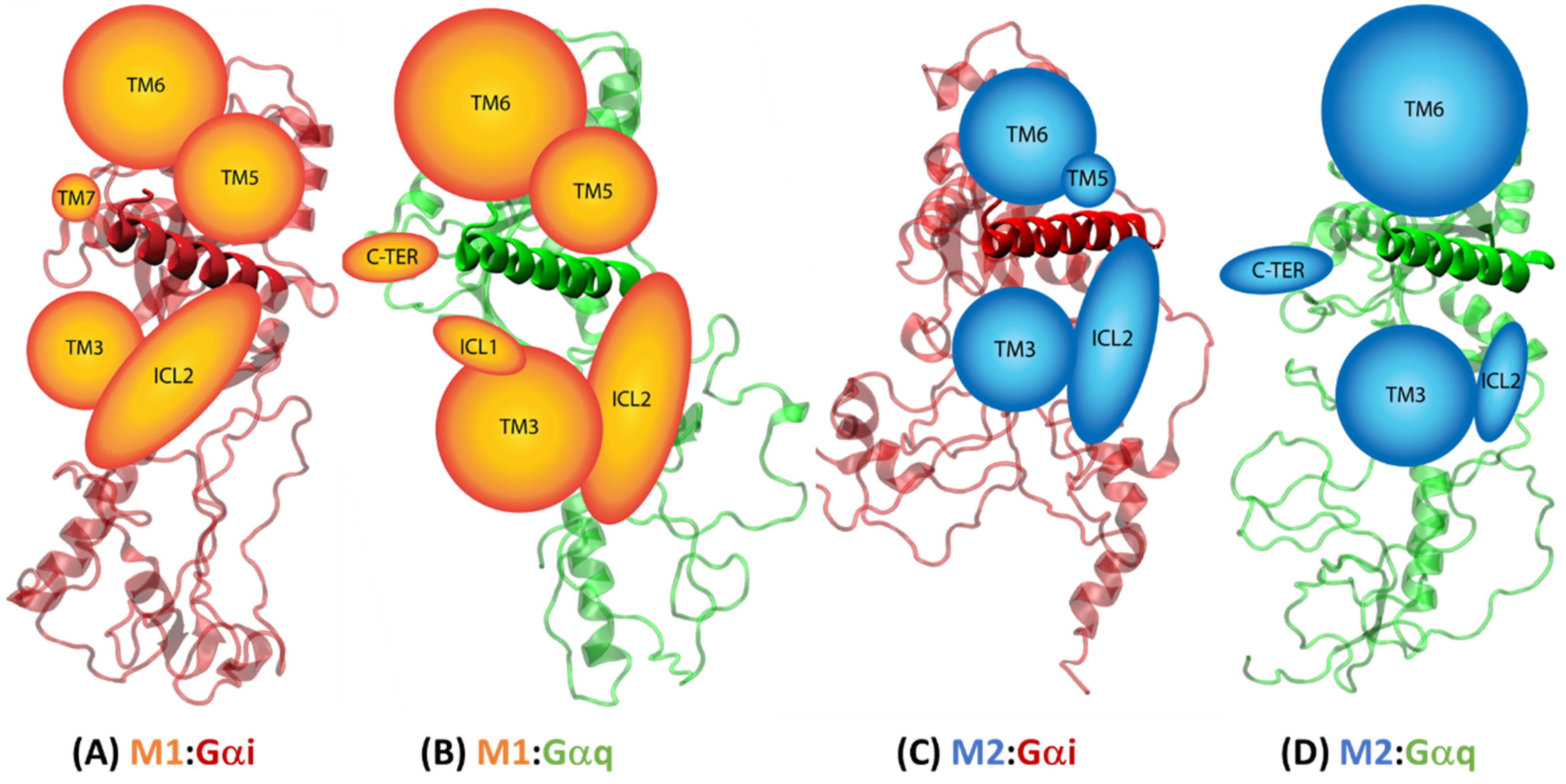 Ijms 20 05290 g008 Ijms 20 05290 g008