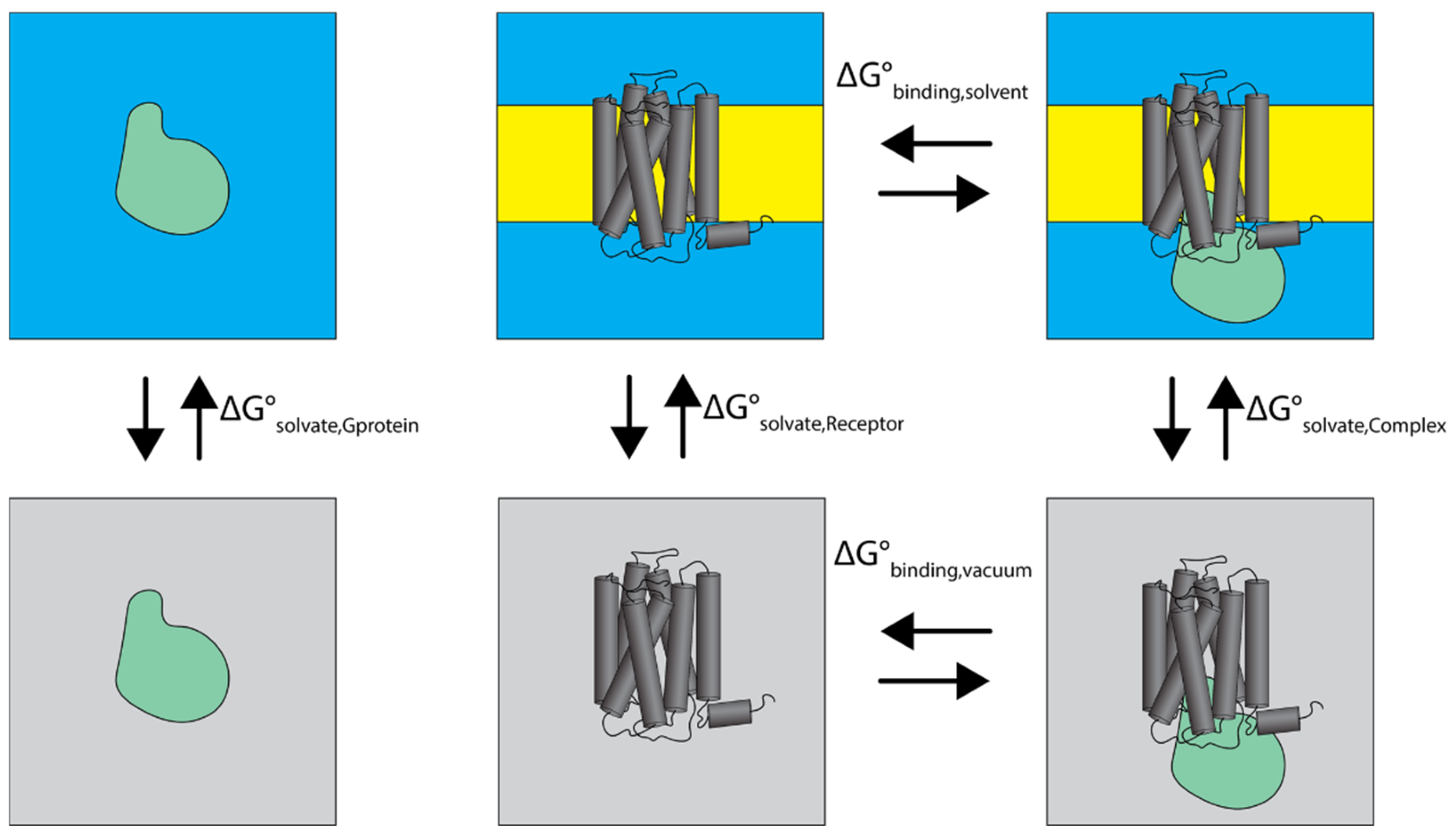 Ijms 20 05290 g009 Ijms 20 05290 g009