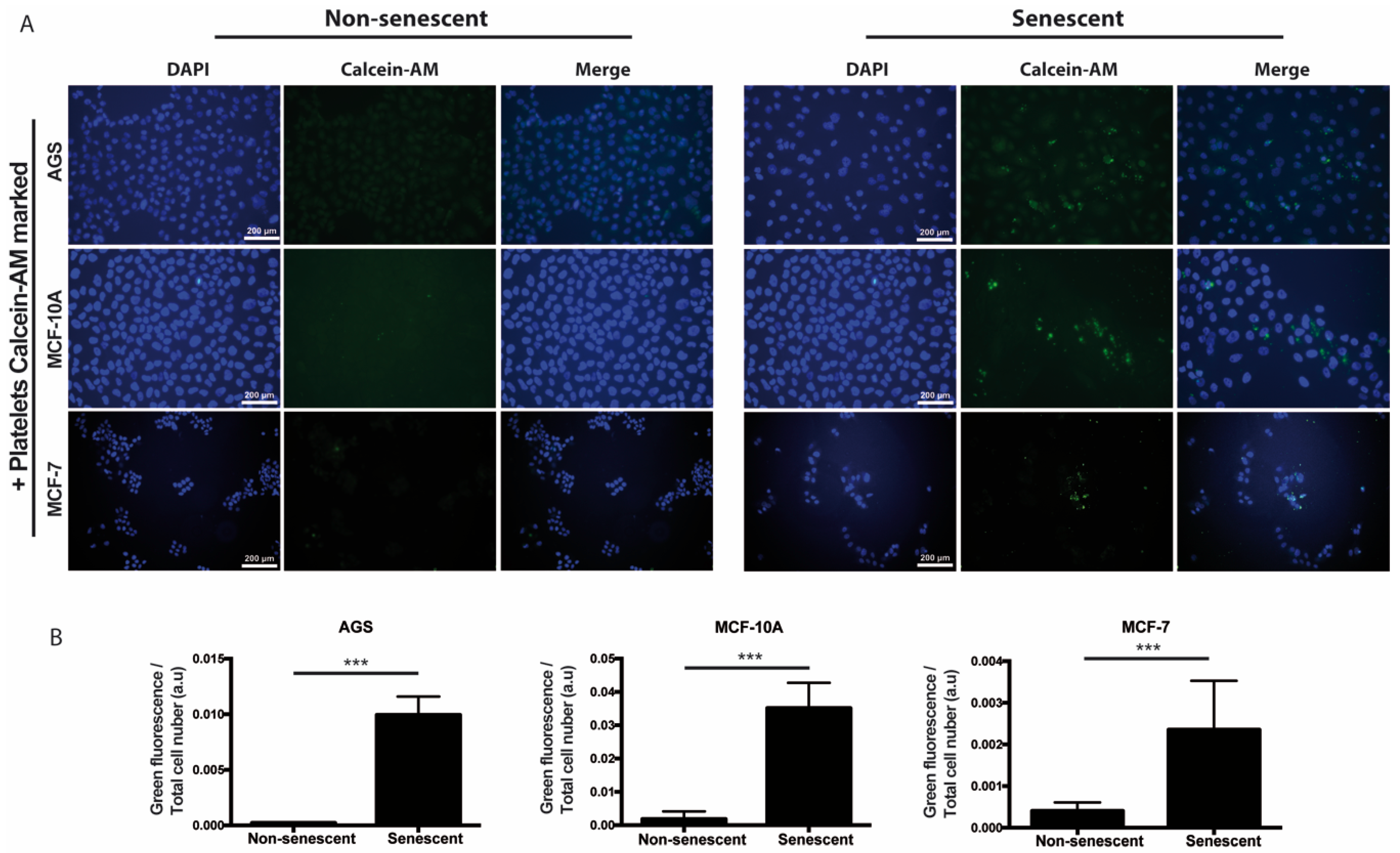 Ijms 20 05292 g003 Ijms 20 05292 g003