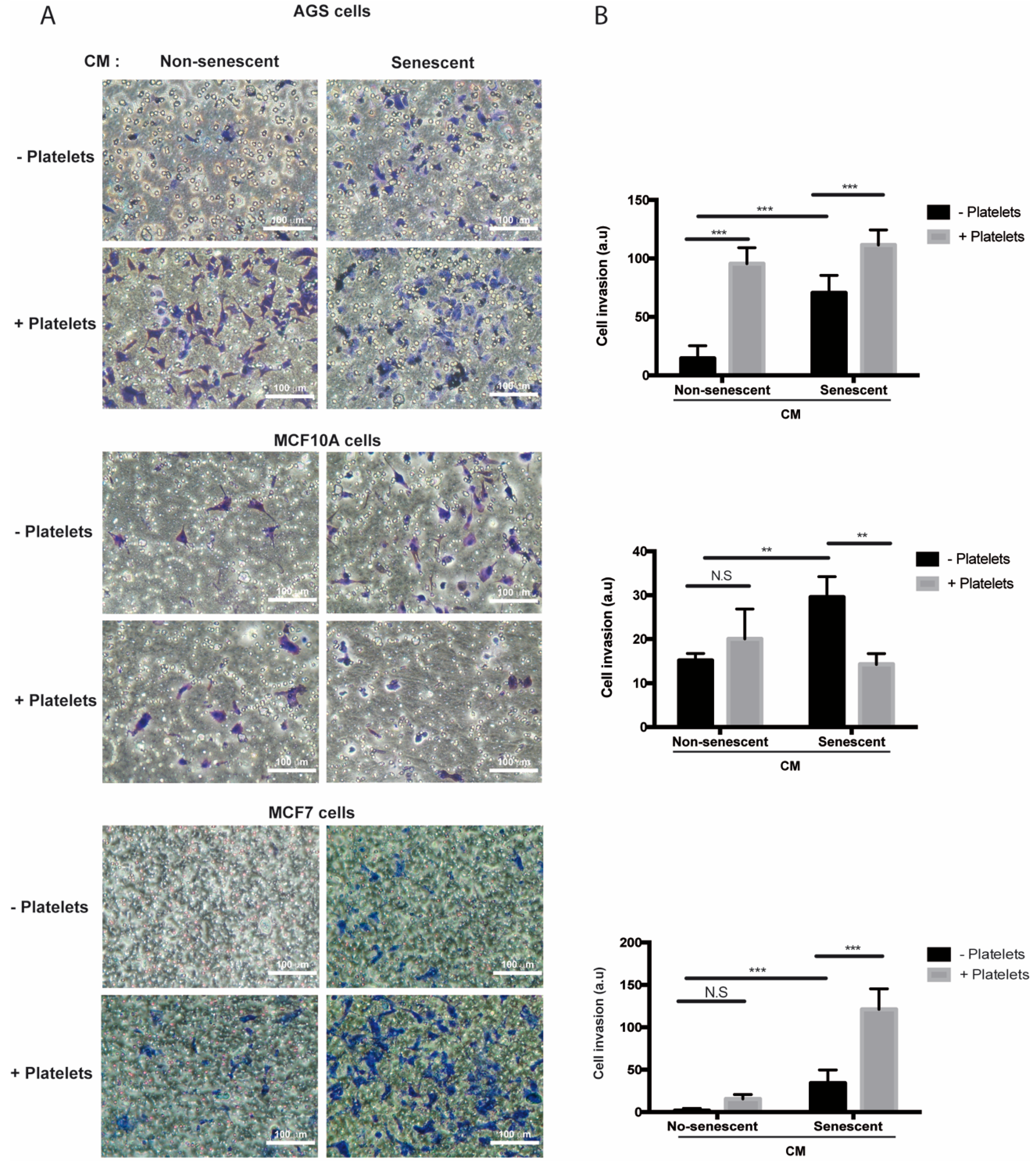 Ijms 20 05292 g005 Ijms 20 05292 g005