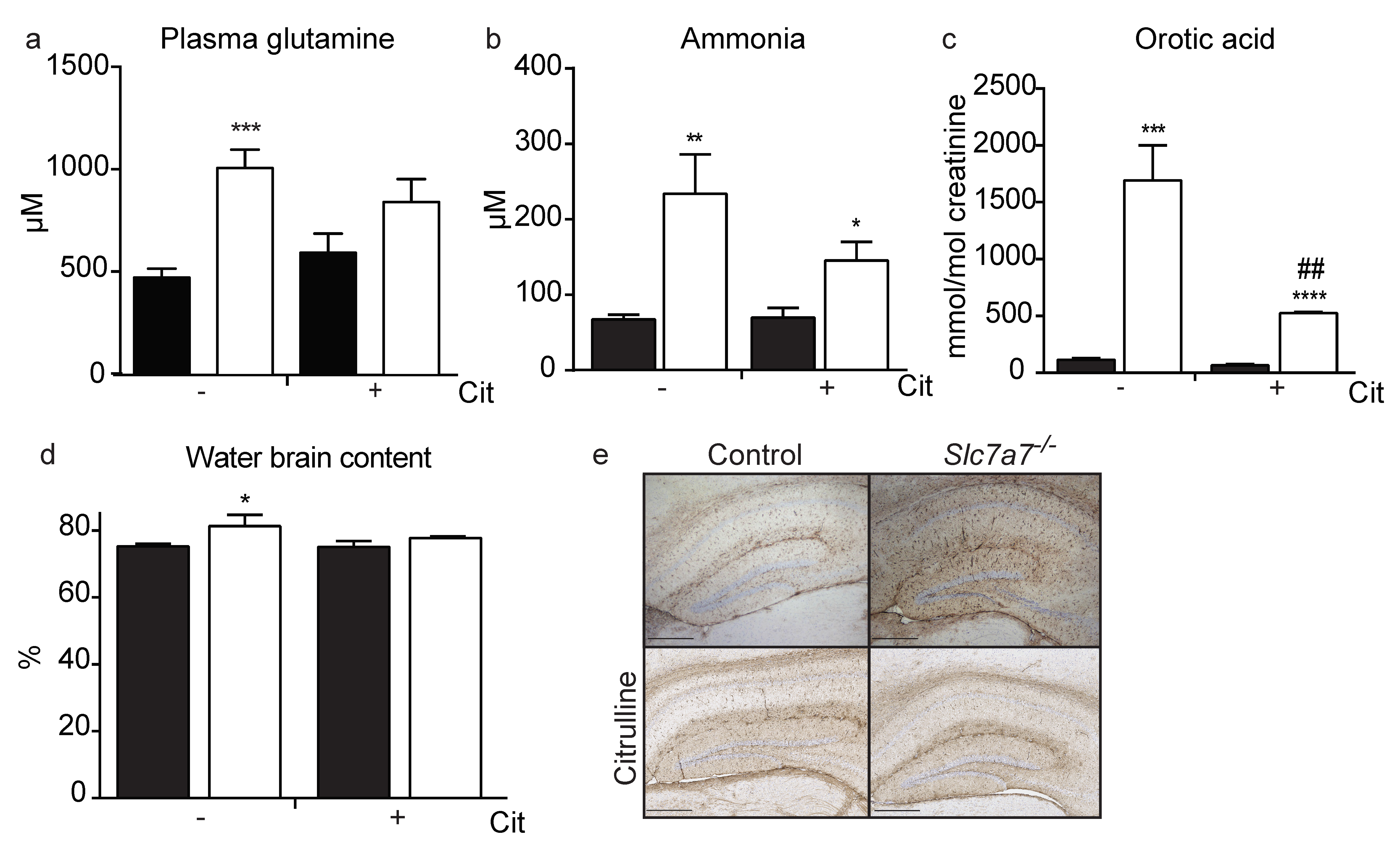 Ijms 20 05294 g003 Ijms 20 05294 g003