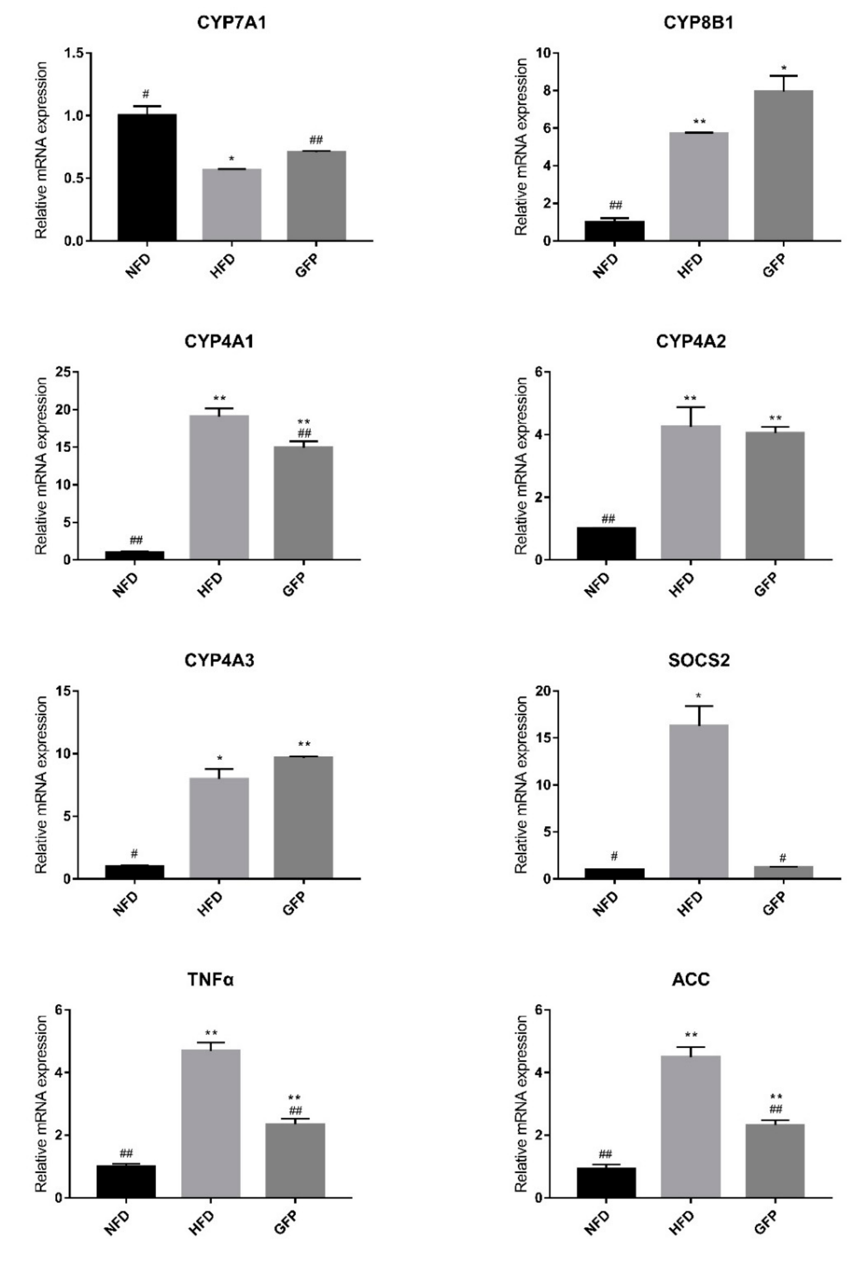 Ijms 20 05302 g003 Ijms 20 05302 g003