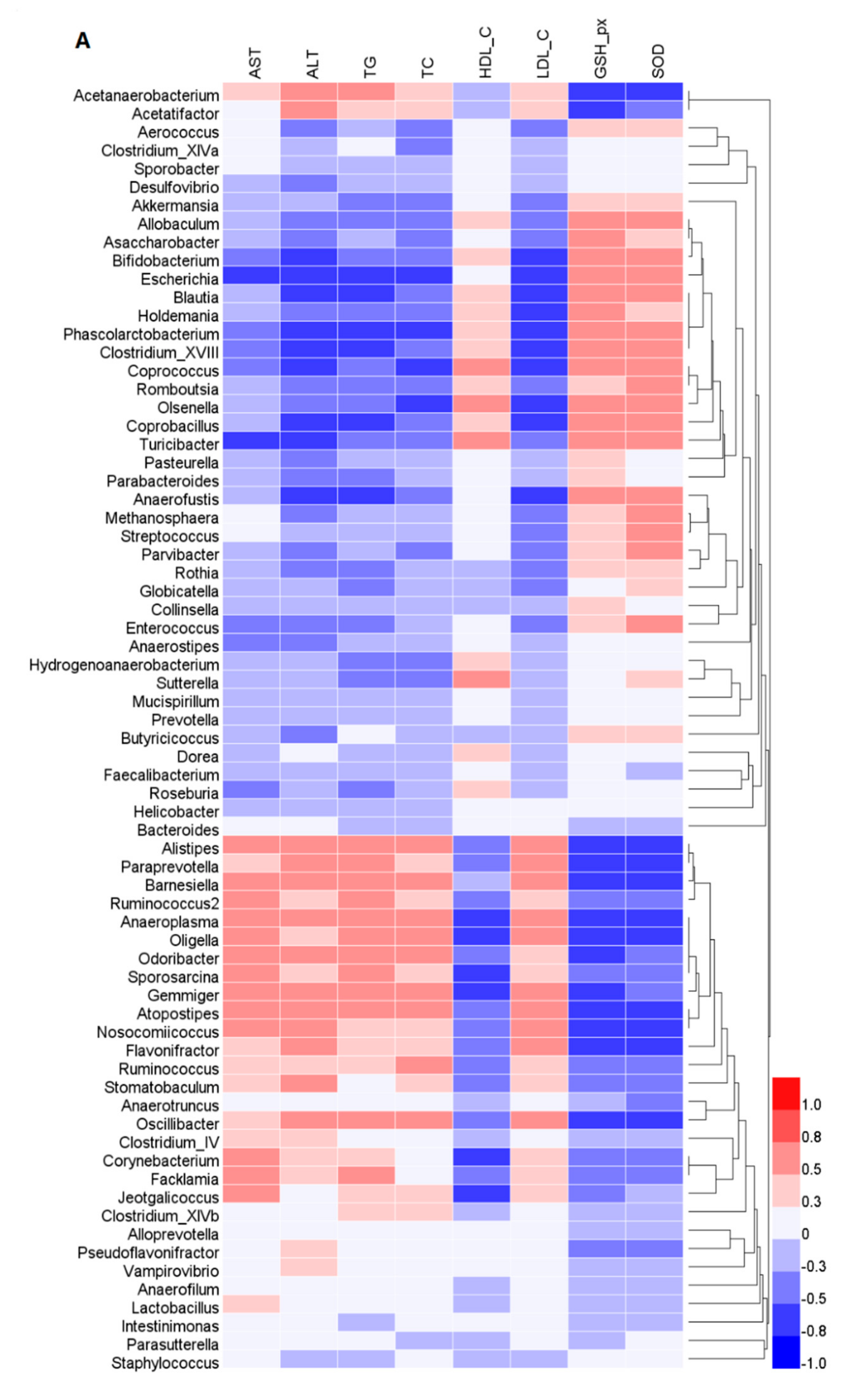 Ijms 20 05302 g006a Ijms 20 05302 g006a