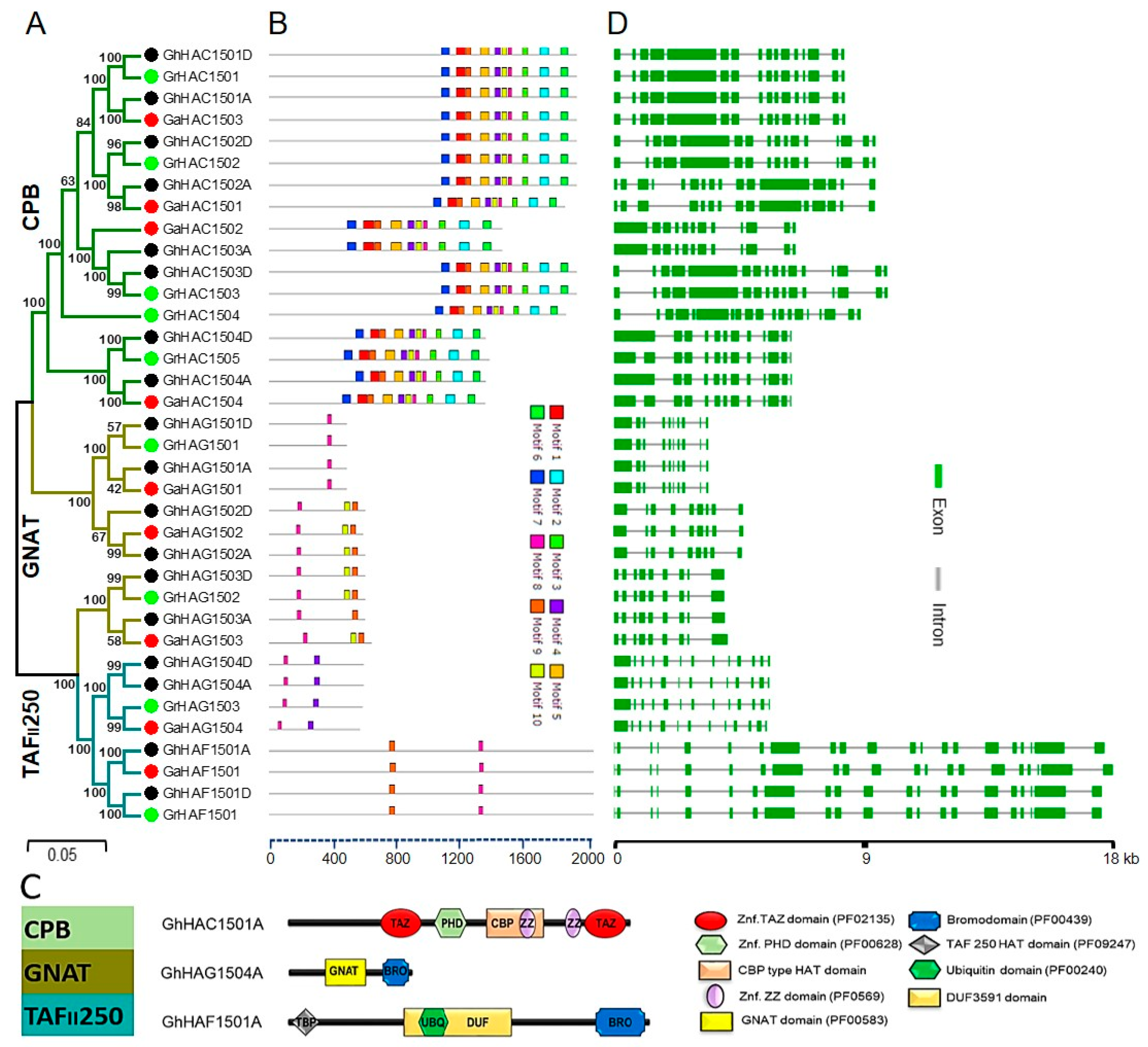 Ijms 20 05311 g002 Ijms 20 05311 g002
