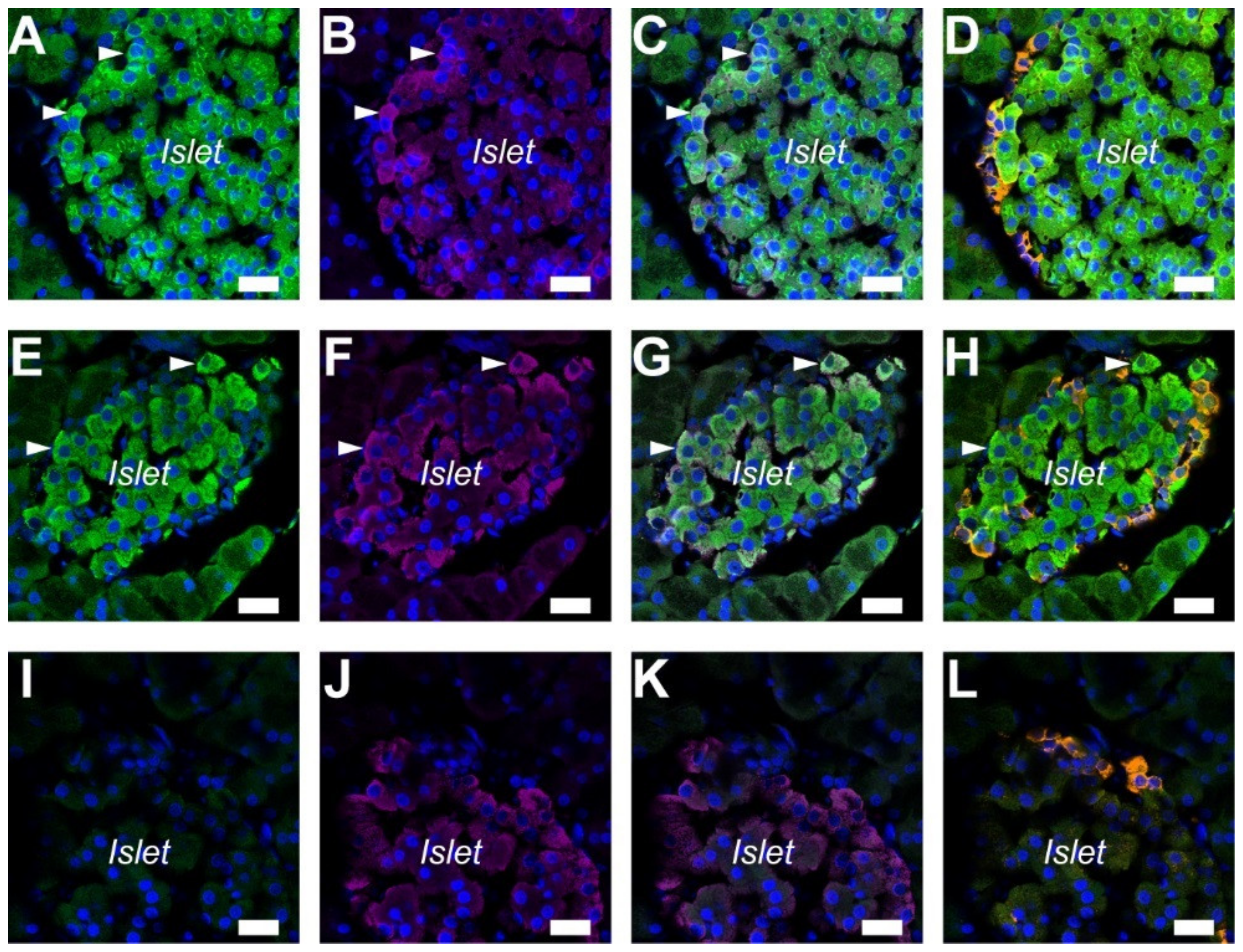 Ijms 20 05329 g001 Ijms 20 05329 g001