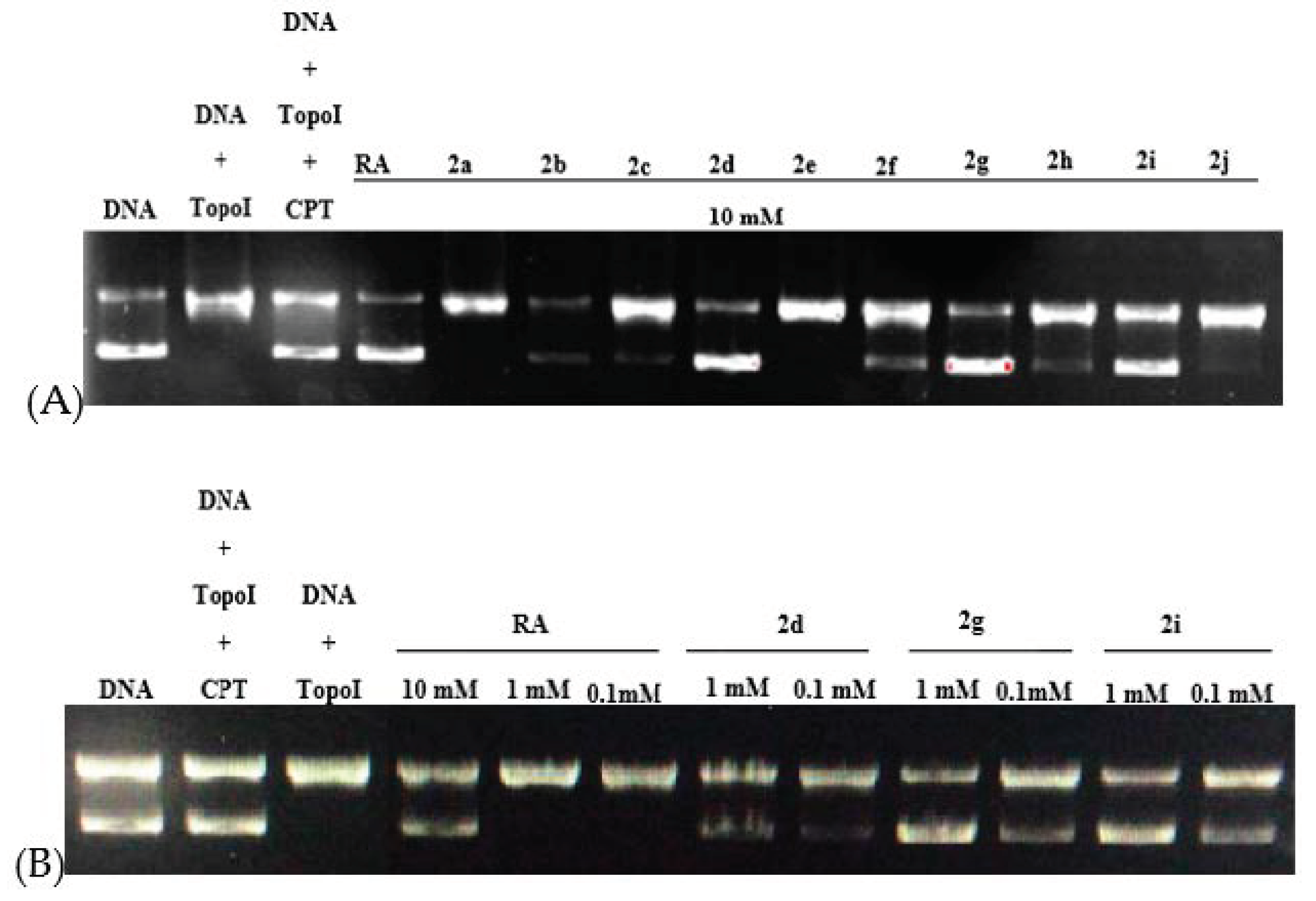 Ijms 20 05336 g005 Ijms 20 05336 g005