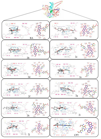 IJMS | Free Full-Text | Synthesis and Evaluation of Anticancer Activity ...