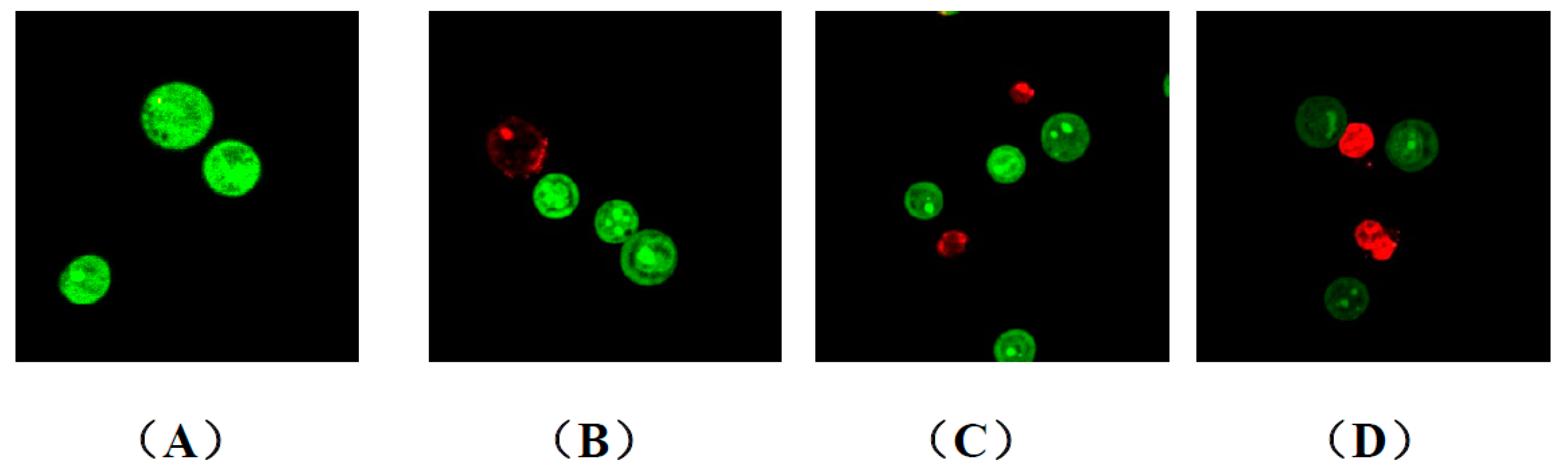Ijms 20 05336 g008 Ijms 20 05336 g008