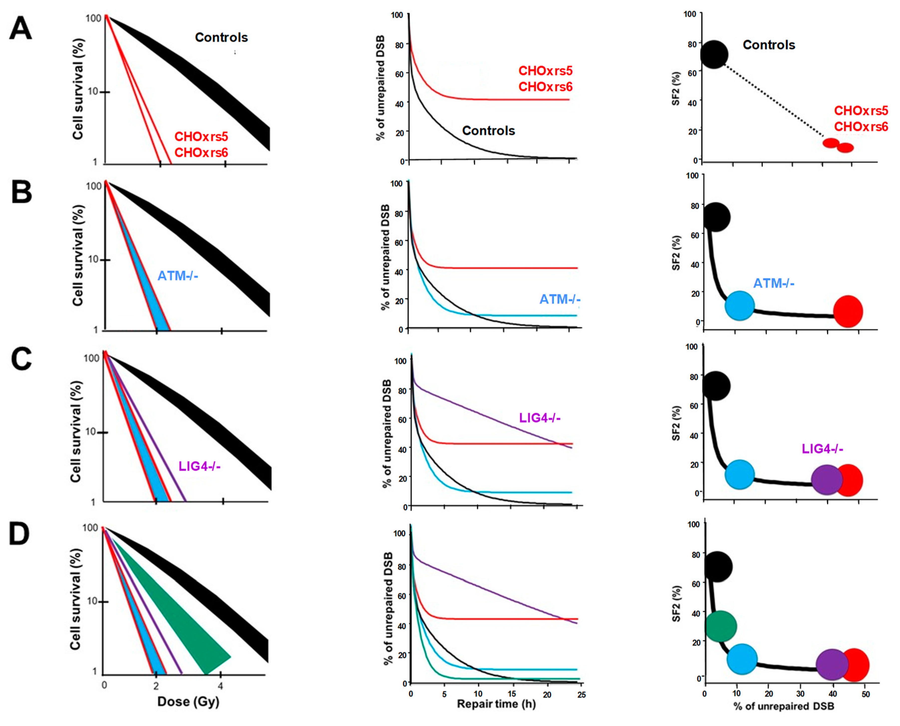 Ijms 20 05339 g002 Ijms 20 05339 g002
