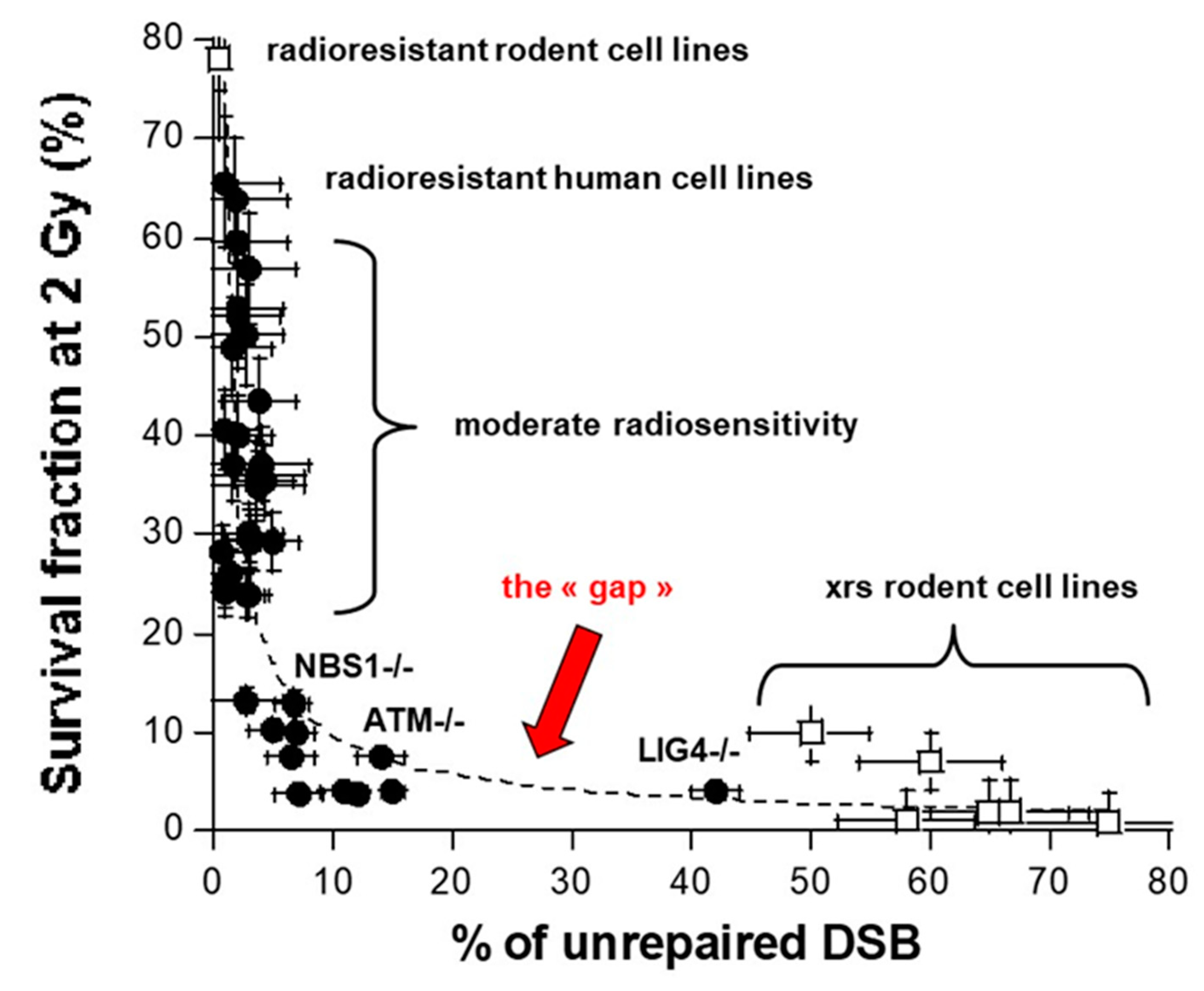 Ijms 20 05339 g003 Ijms 20 05339 g003