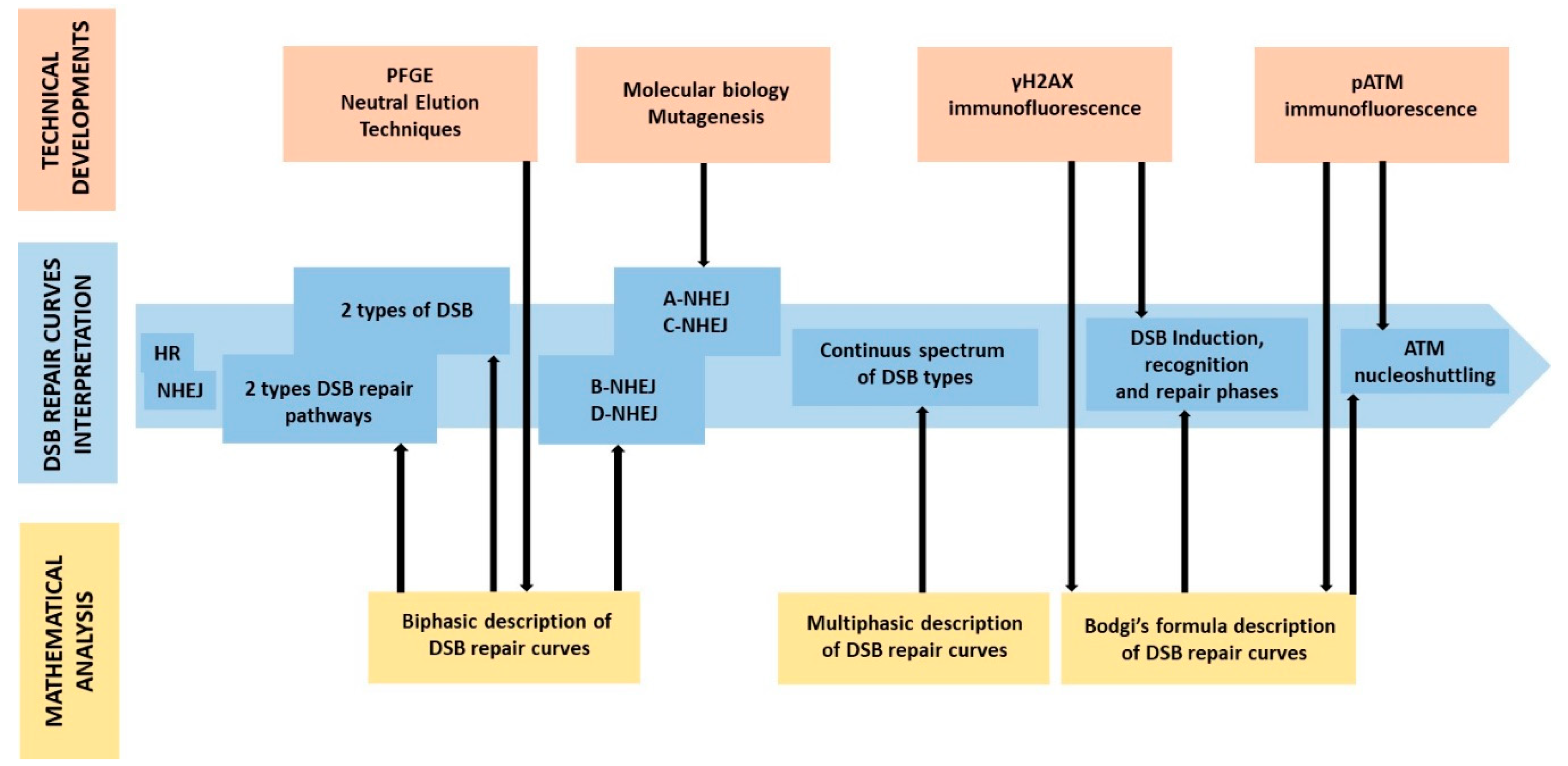 Ijms 20 05339 g004 Ijms 20 05339 g004