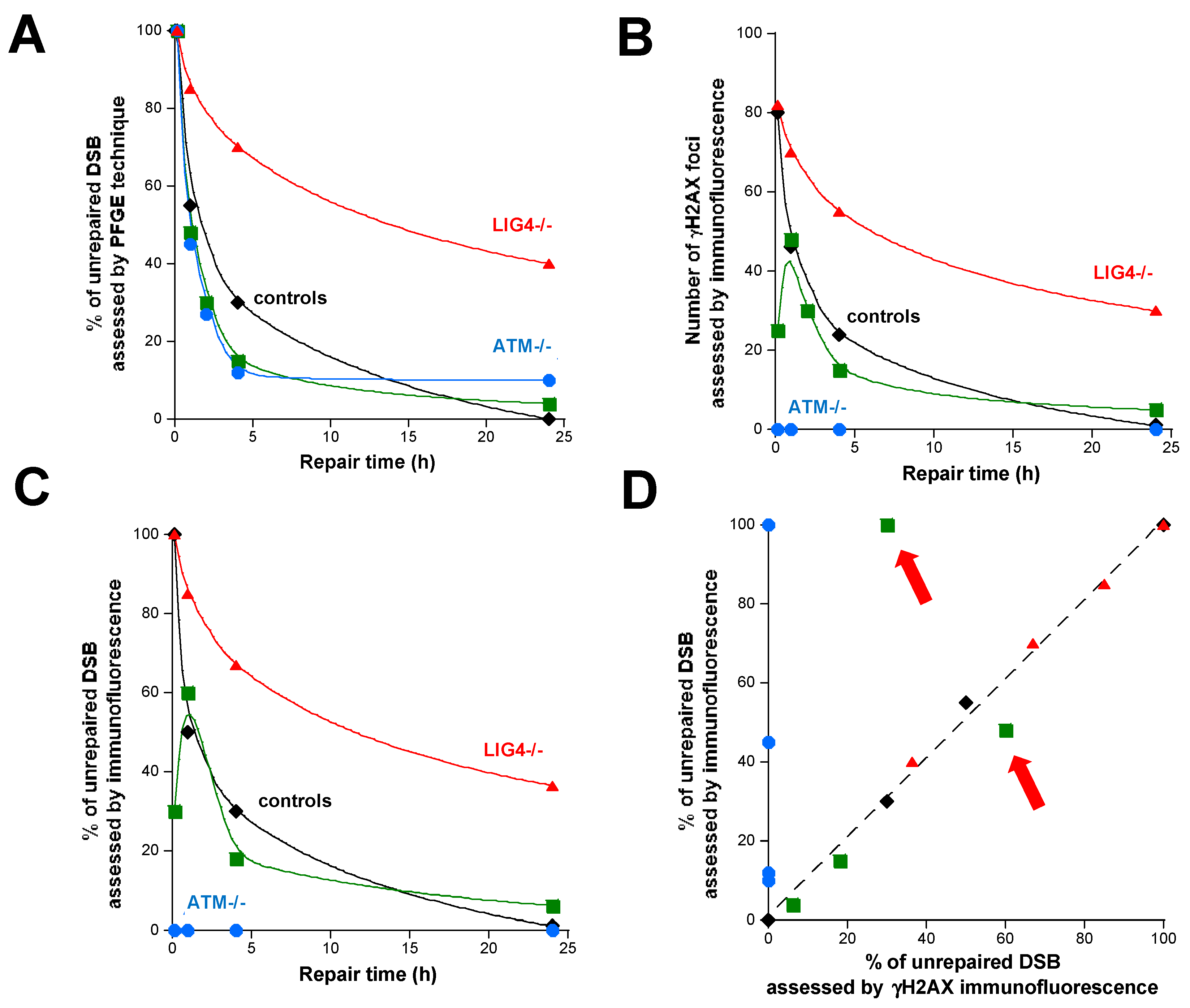 Ijms 20 05339 g005 Ijms 20 05339 g005