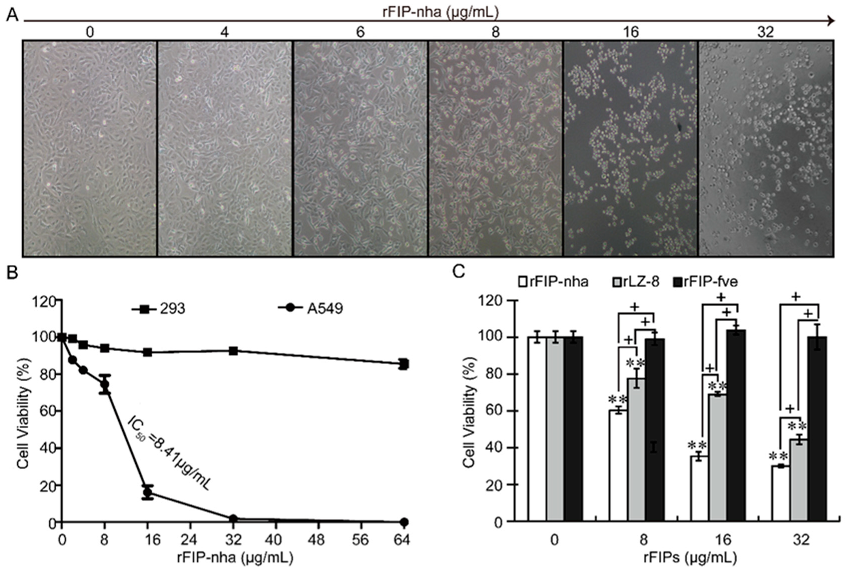 Ijms 20 05348 g001 Ijms 20 05348 g001