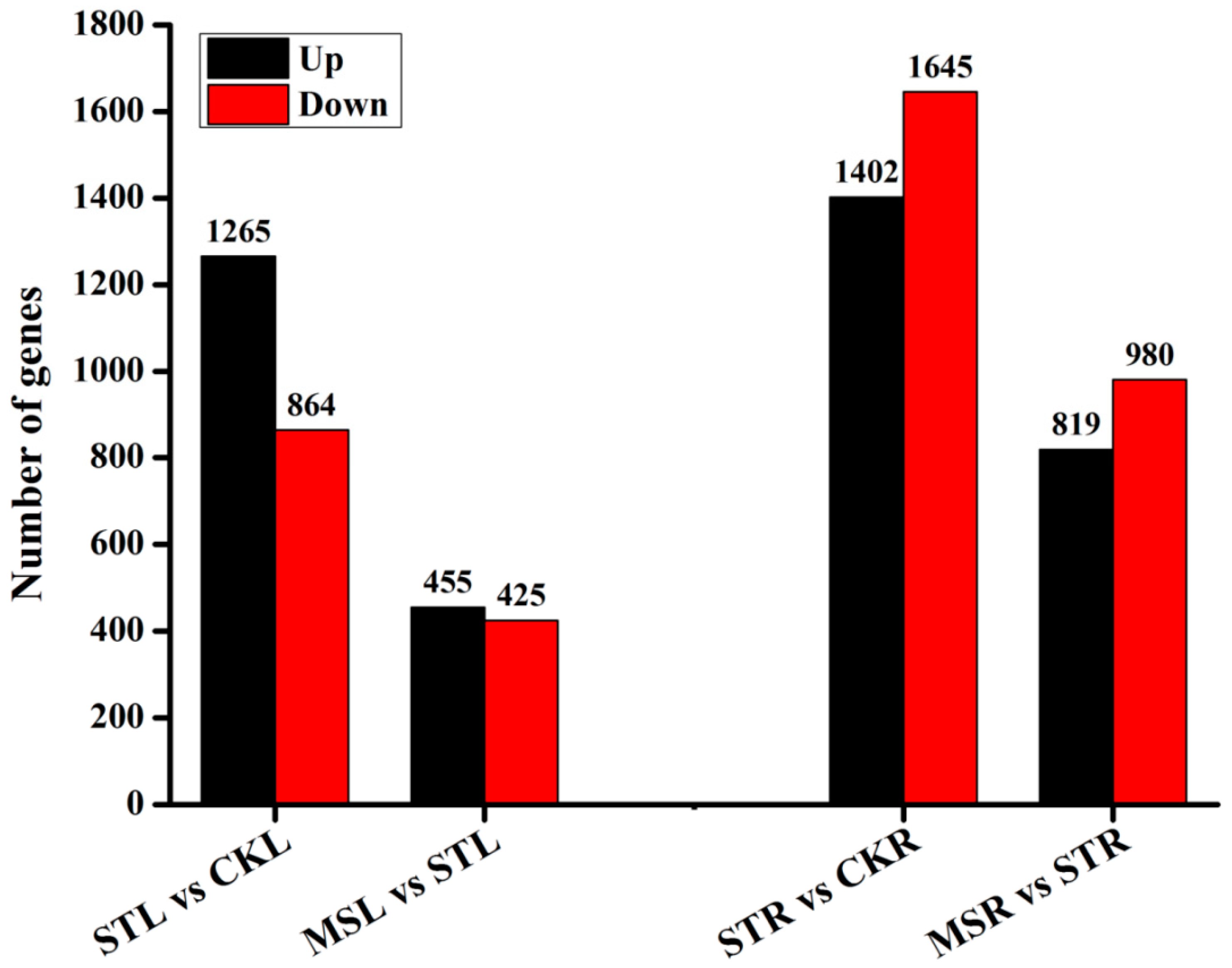 Ijms 20 05355 g003 Ijms 20 05355 g003