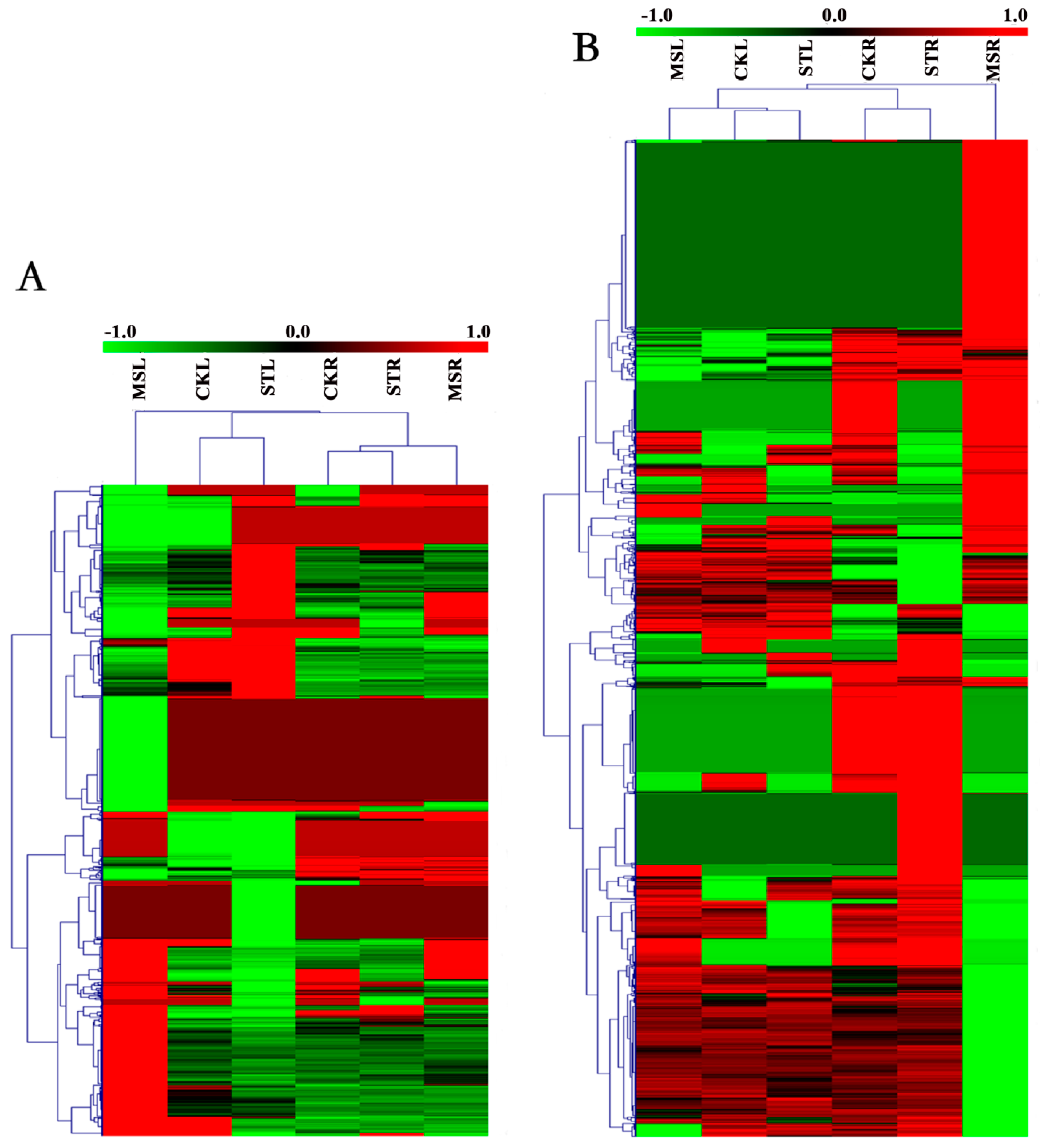 Ijms 20 05355 g004 Ijms 20 05355 g004