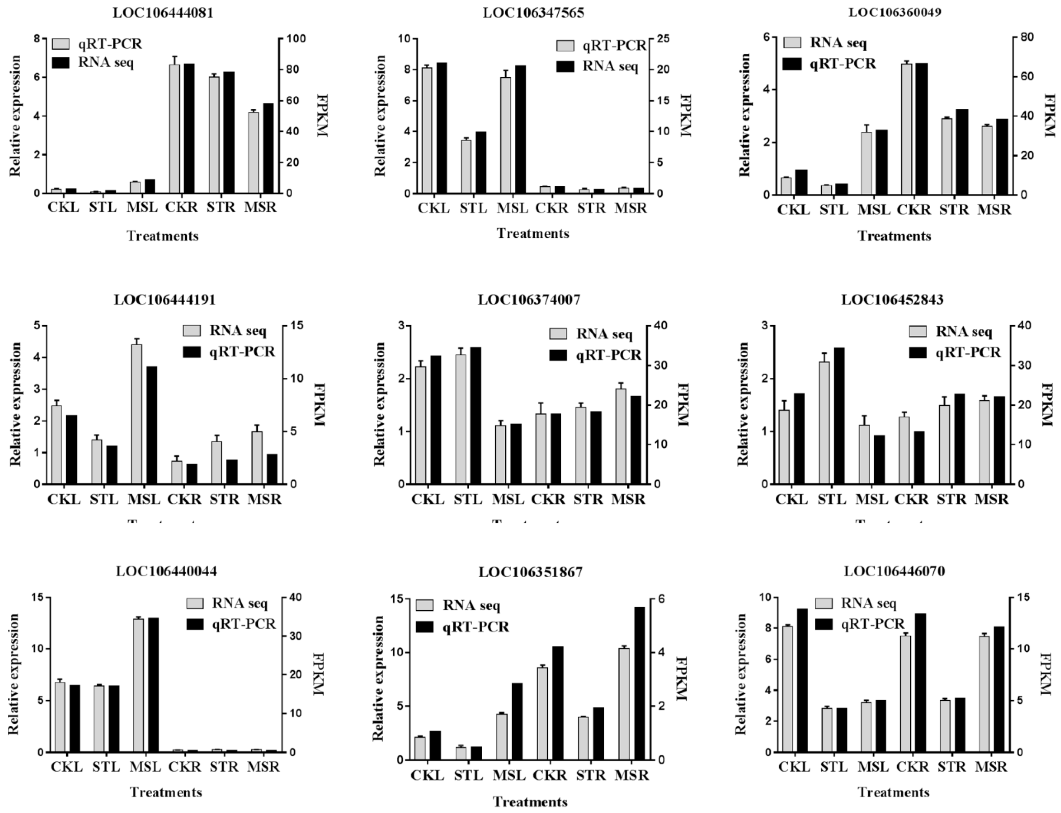 Ijms 20 05355 g005 Ijms 20 05355 g005