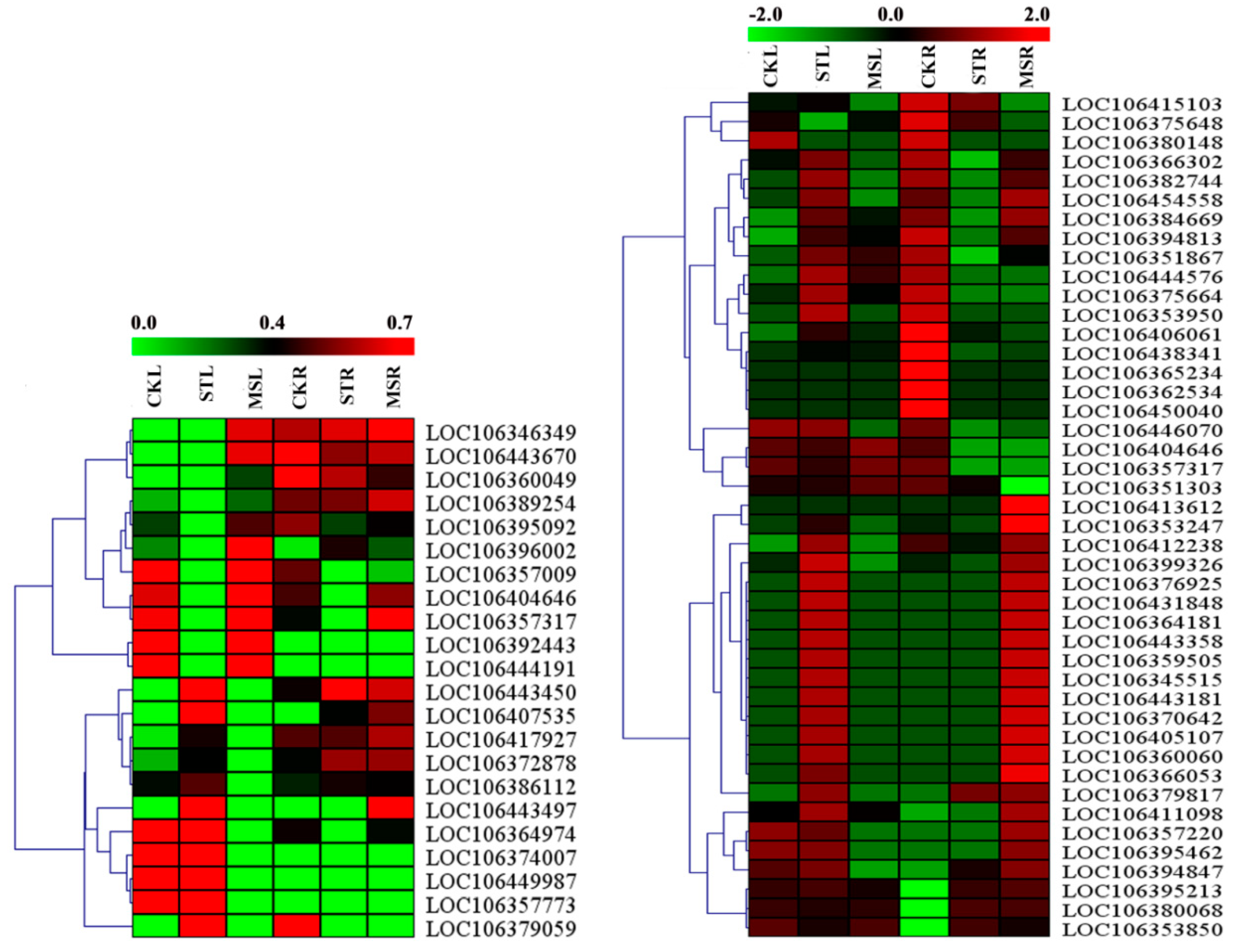 Ijms 20 05355 g006 Ijms 20 05355 g006