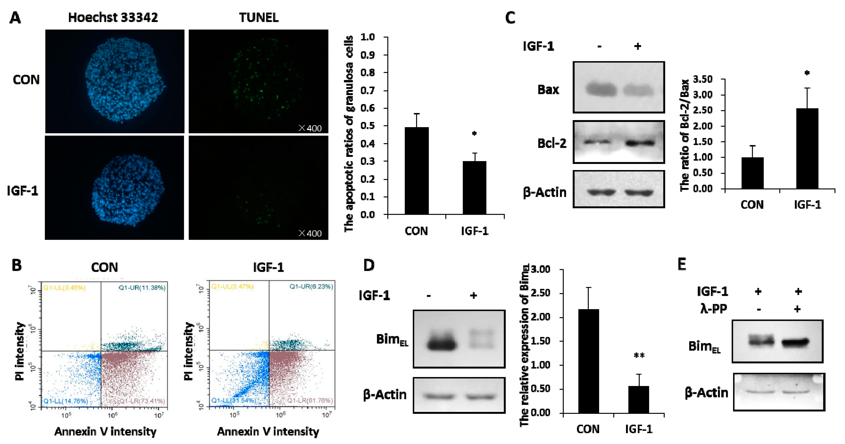 Ijms 20 05356 g001 Ijms 20 05356 g001