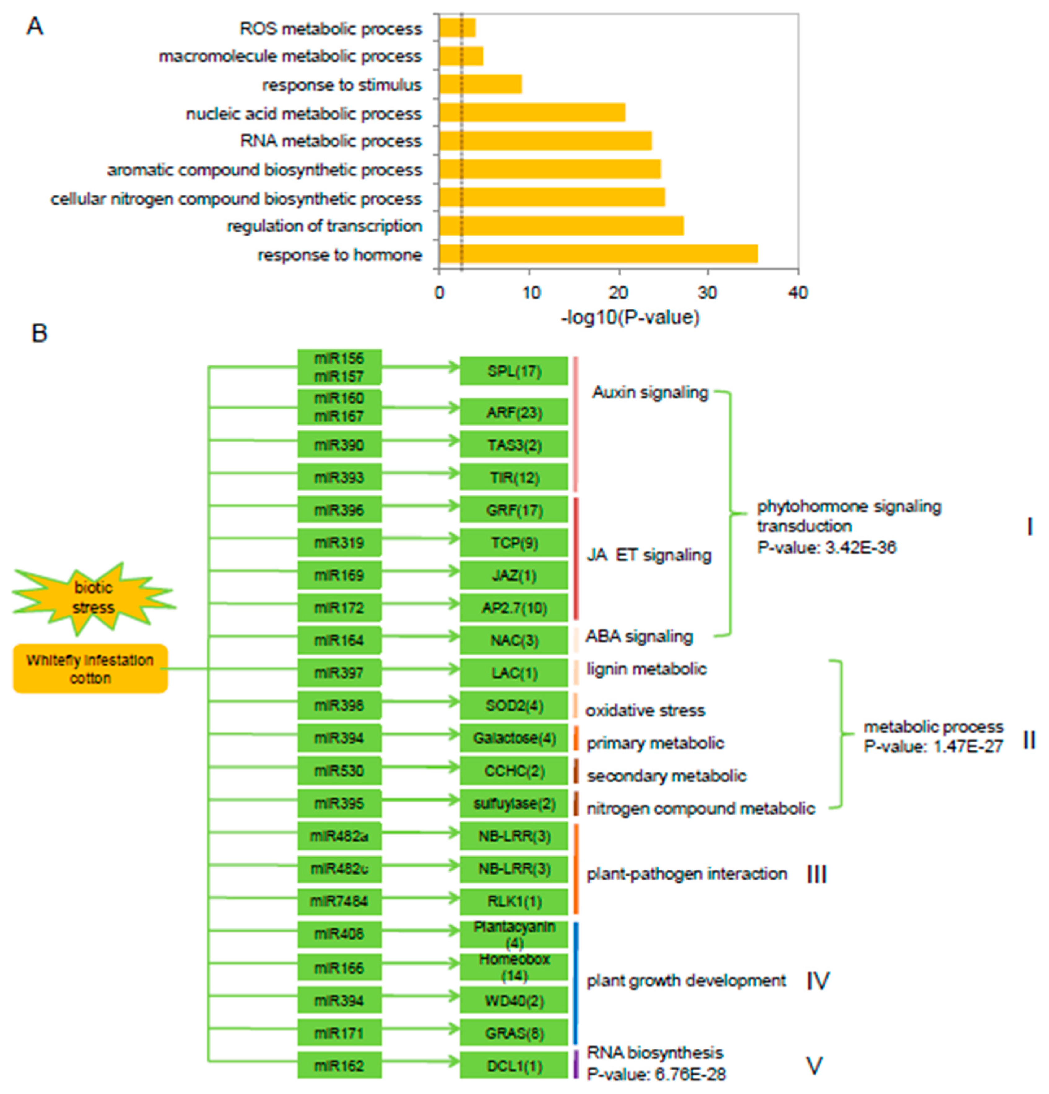 Ijms 20 05357 g003 Ijms 20 05357 g003