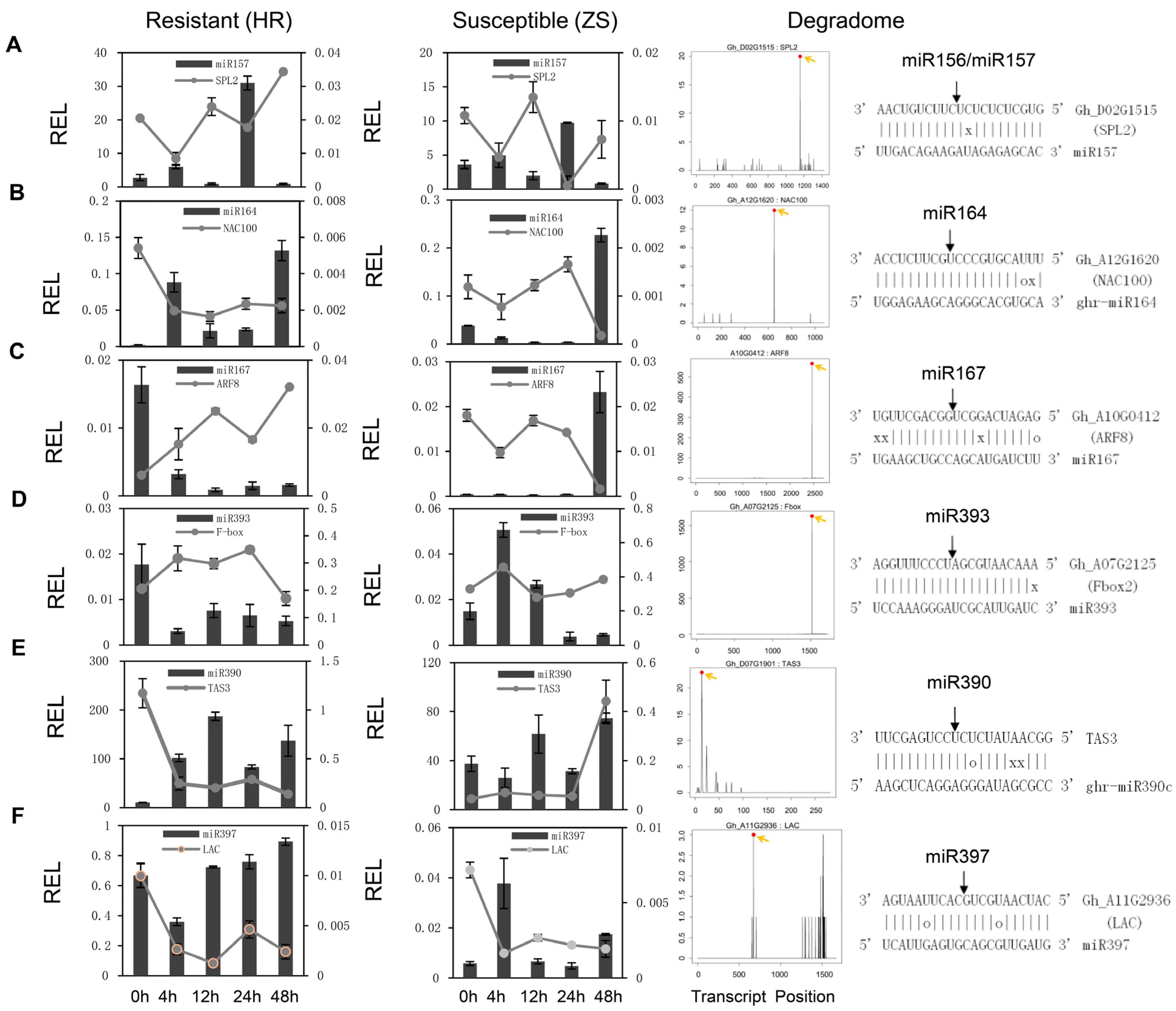 Ijms 20 05357 g004 Ijms 20 05357 g004