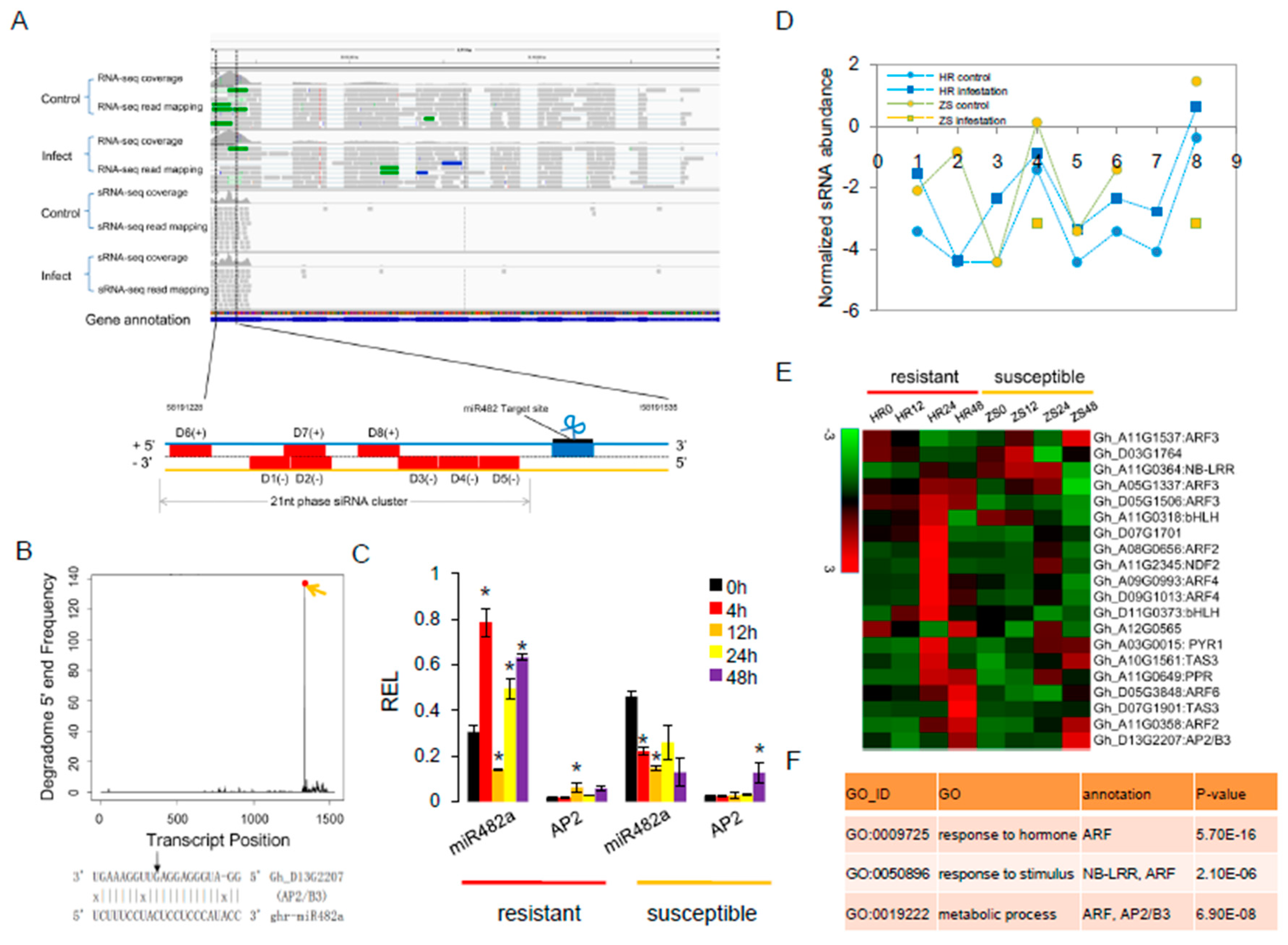 Ijms 20 05357 g006 Ijms 20 05357 g006