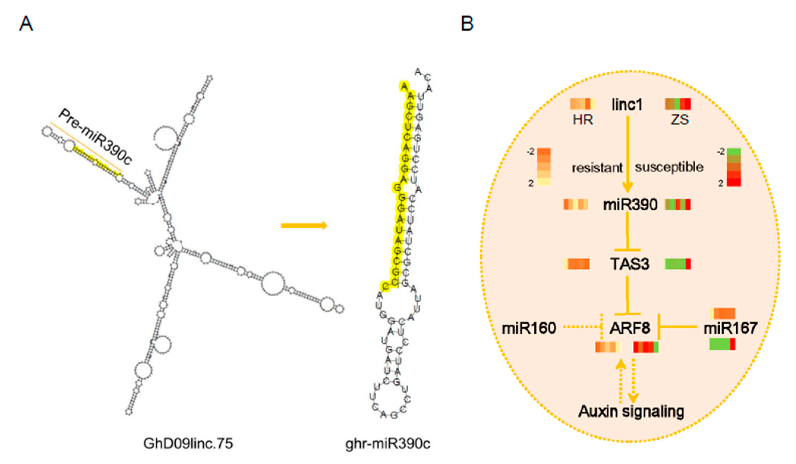 Ijms 20 05357 g007 Ijms 20 05357 g007