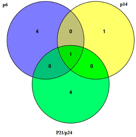 なつめ Sorghum MSD3 Encodes an ω-3 Fatty Acid Desaturase that