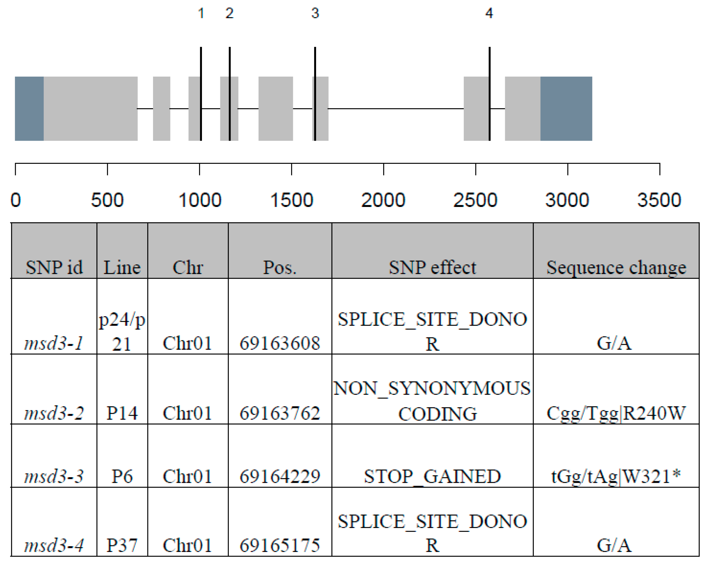 Ijms 20 05359 g003