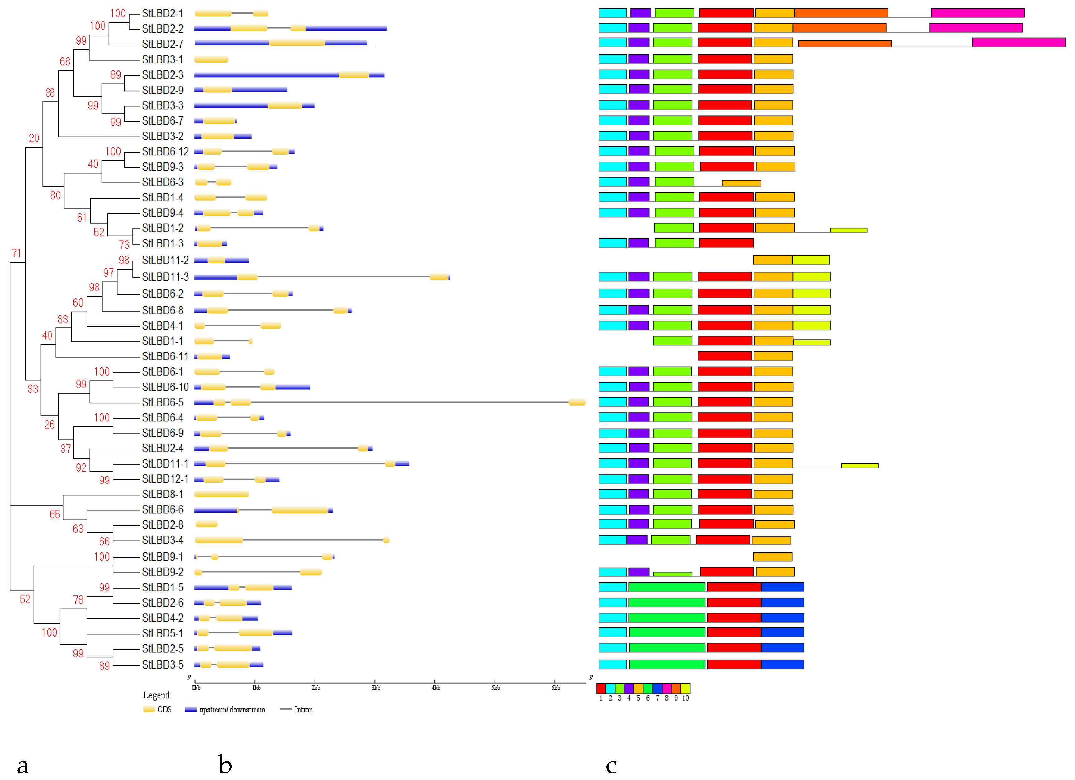 Ijms 20 05360 g003 Ijms 20 05360 g003