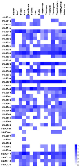 2sal 3sal Xxx Video - IJMS | Free Full-Text | Genome-Wide Analysis of the Lateral Organ ...