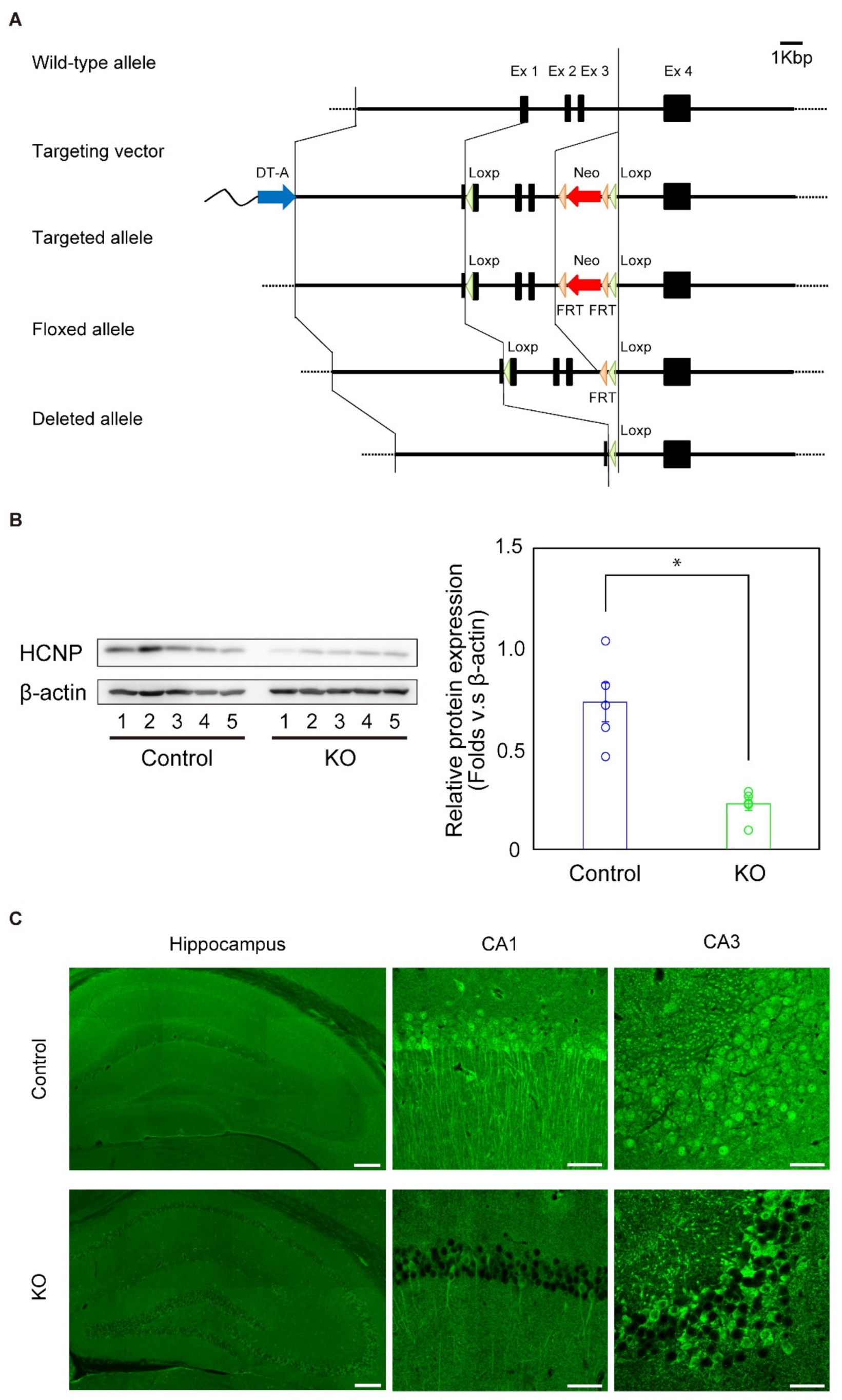 Ijms 20 05367 g001 Ijms 20 05367 g001