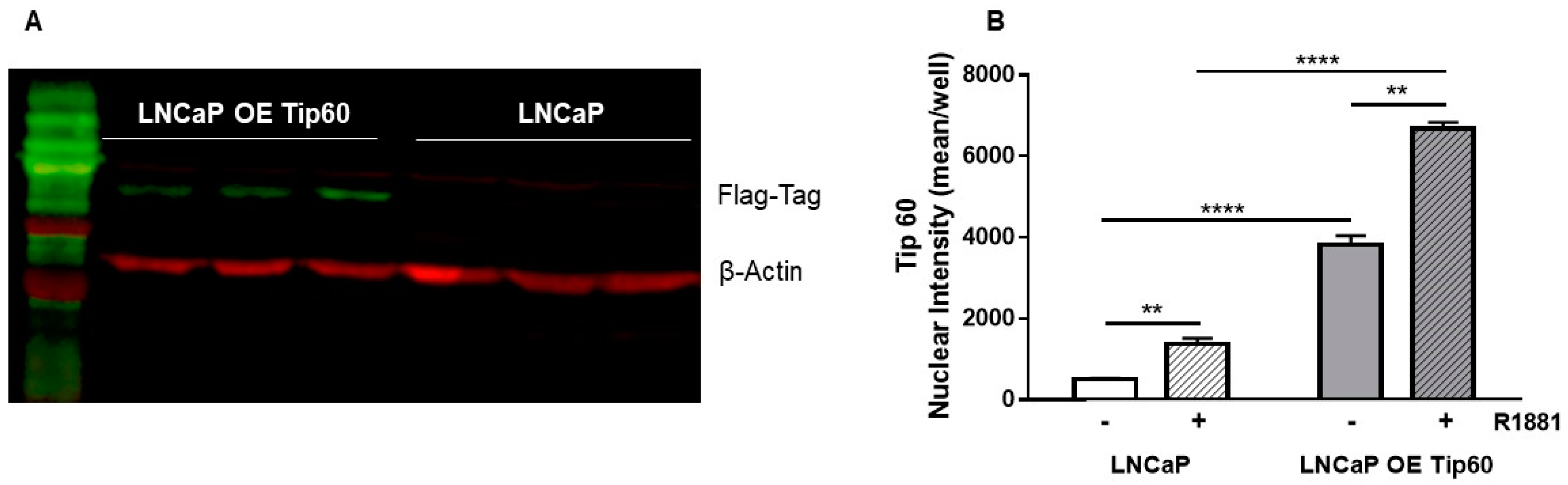 Ijms 20 05384 g001 Ijms 20 05384 g001