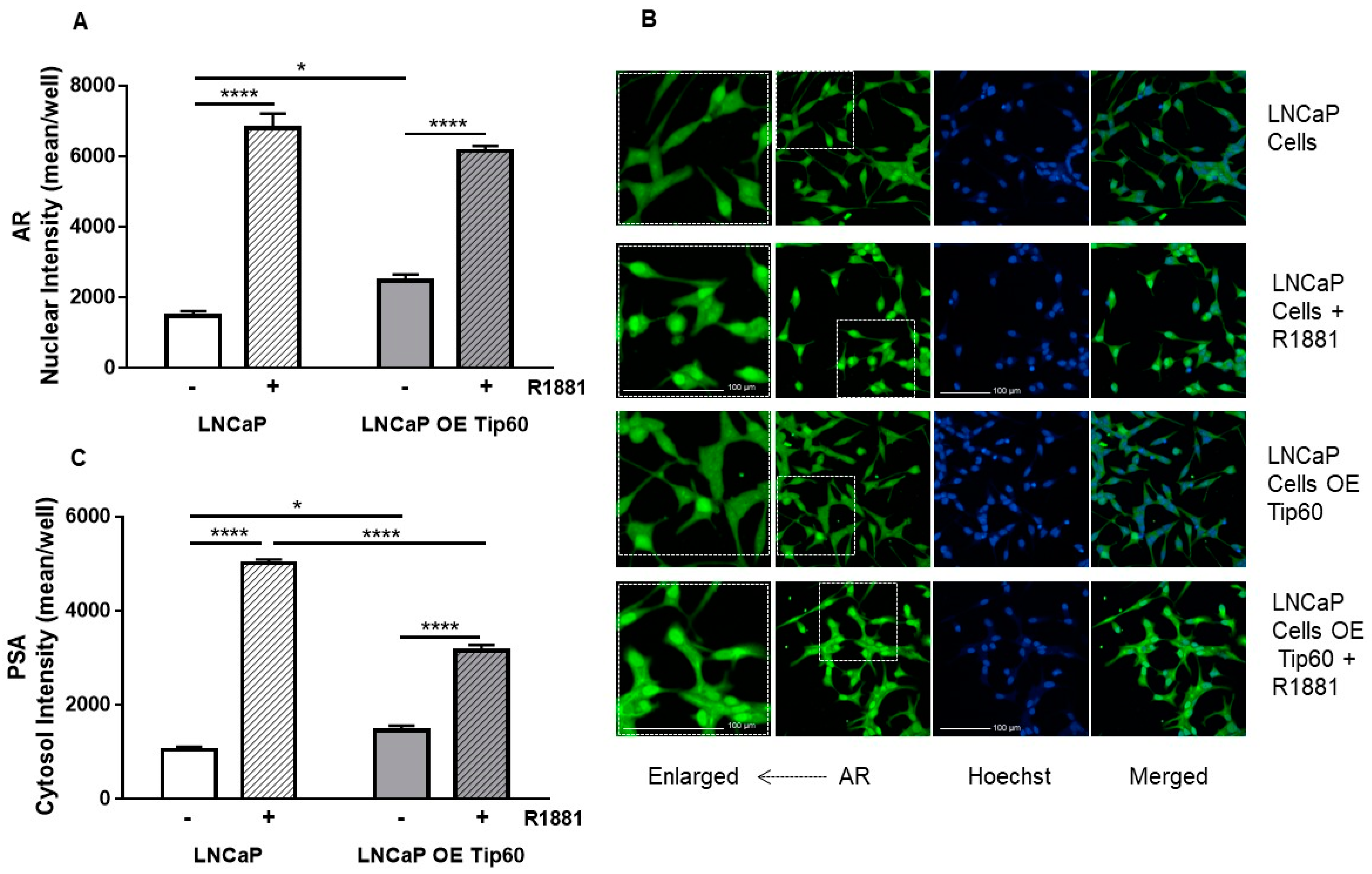 Ijms 20 05384 g002 Ijms 20 05384 g002