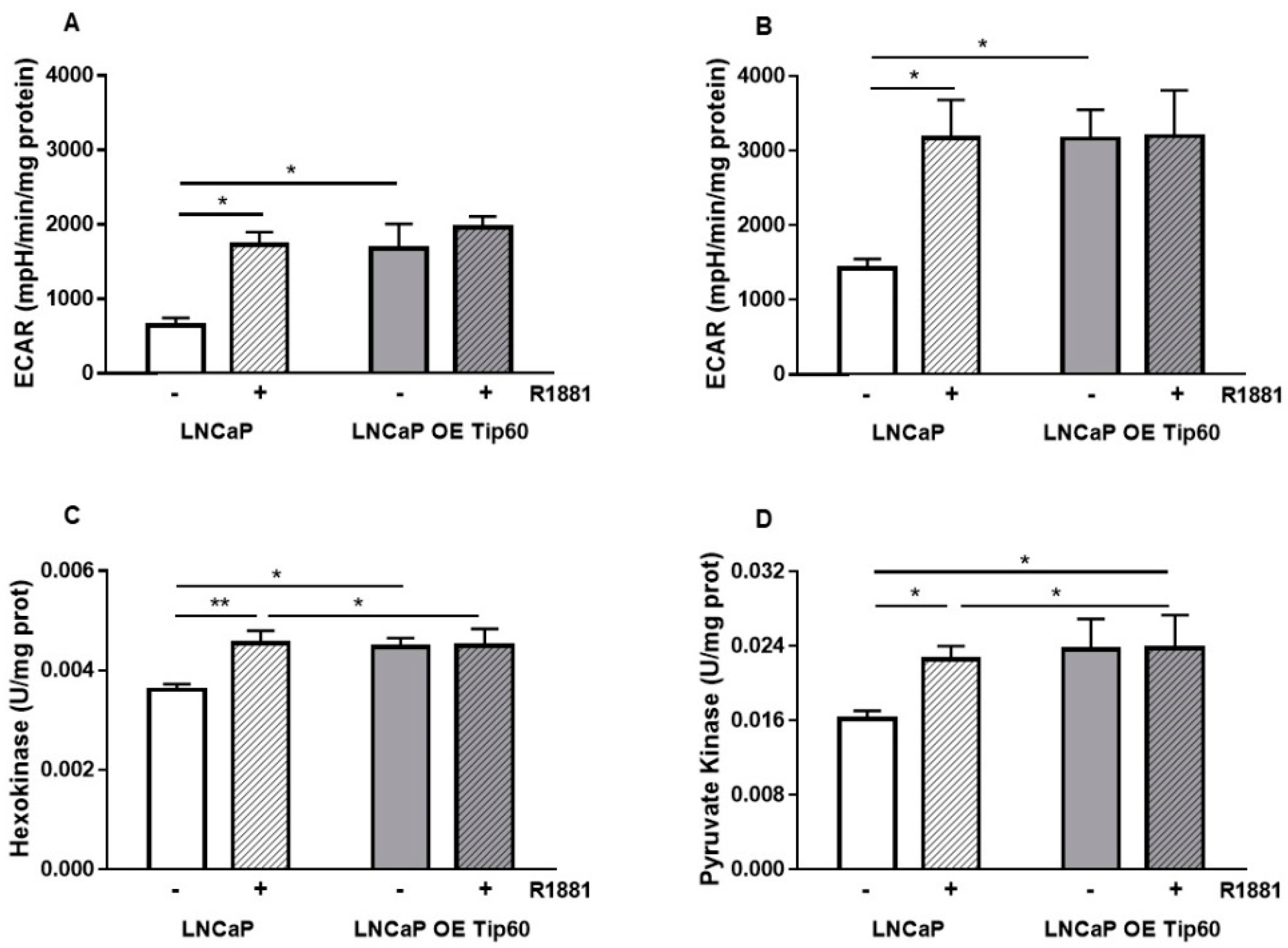 Ijms 20 05384 g004 Ijms 20 05384 g004
