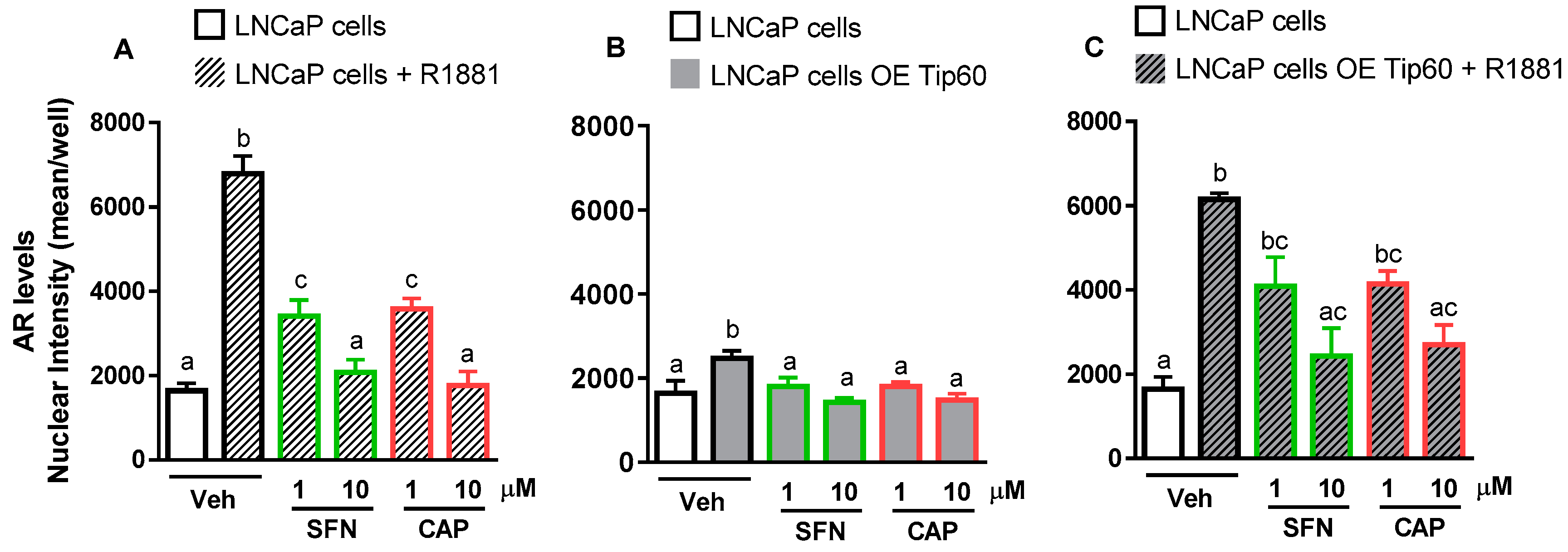 Ijms 20 05384 g006 Ijms 20 05384 g006