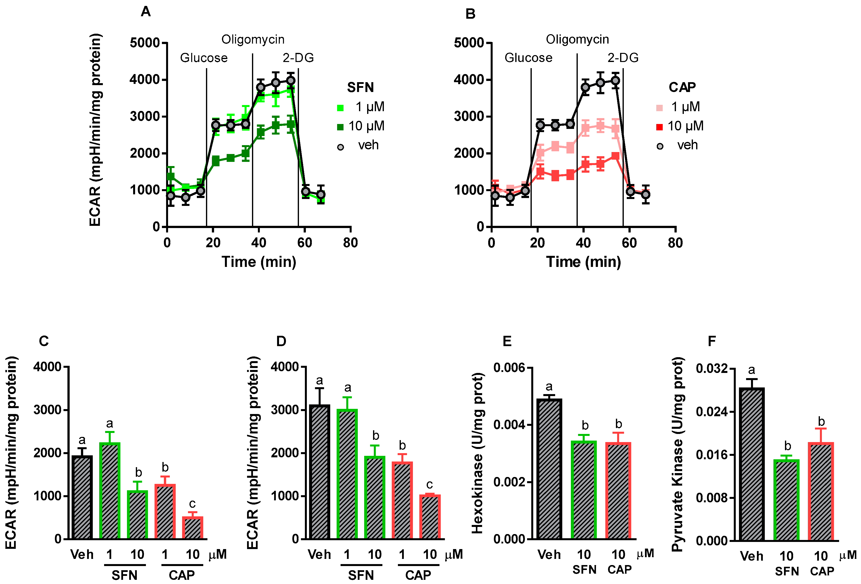 Ijms 20 05384 g008 Ijms 20 05384 g008