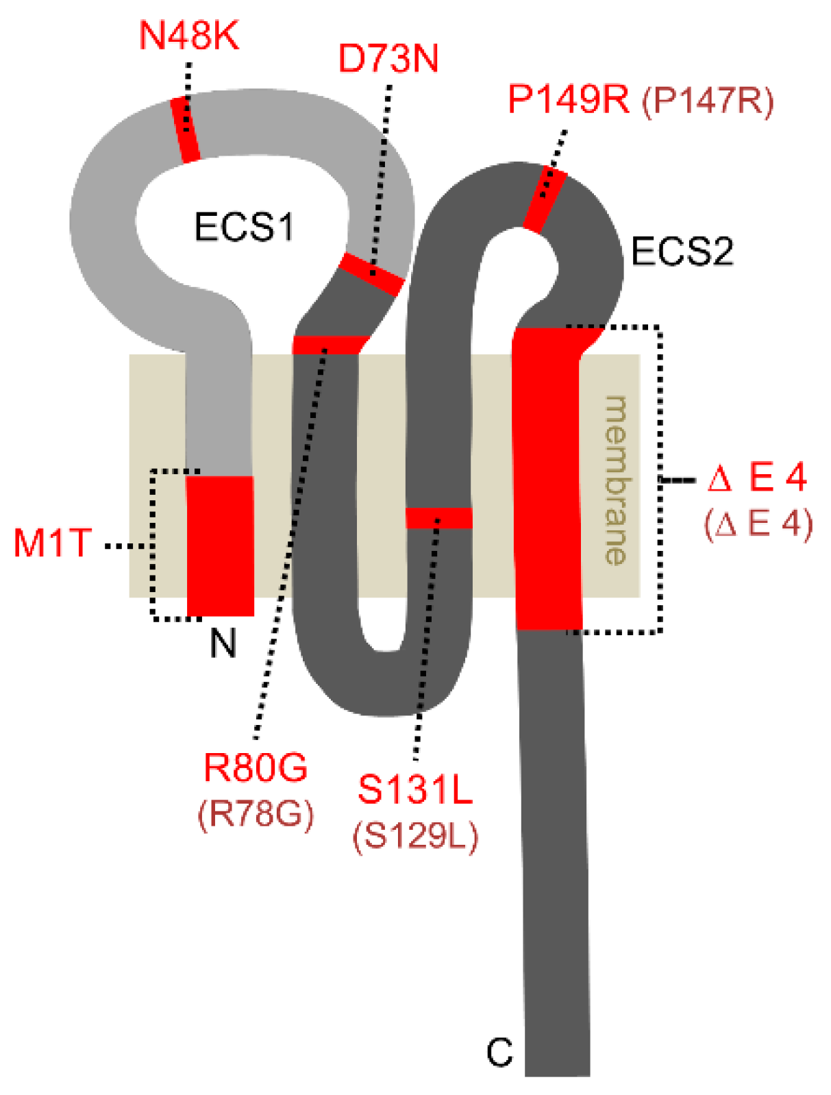 Ijms 20 05396 g001