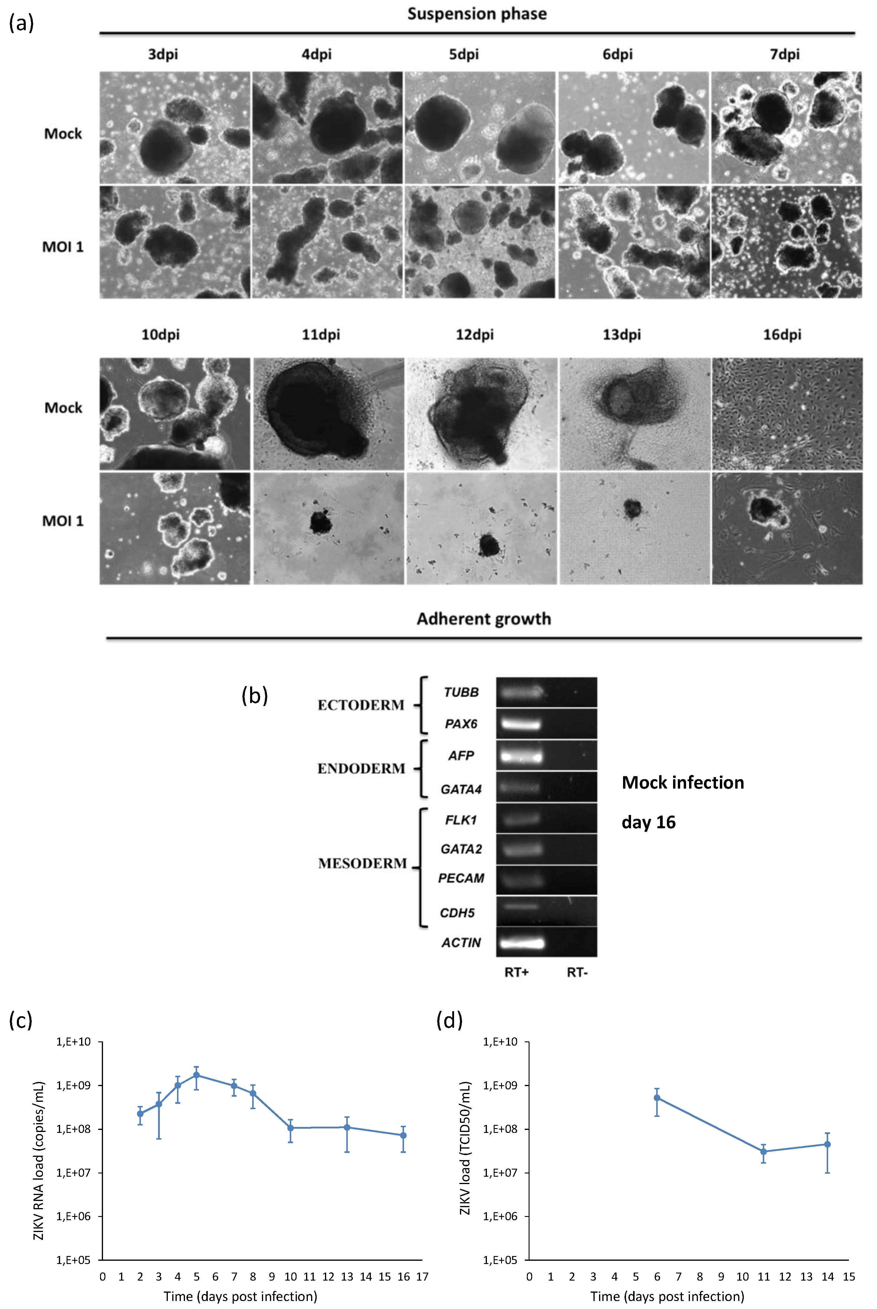 Ijms 20 05404 g010