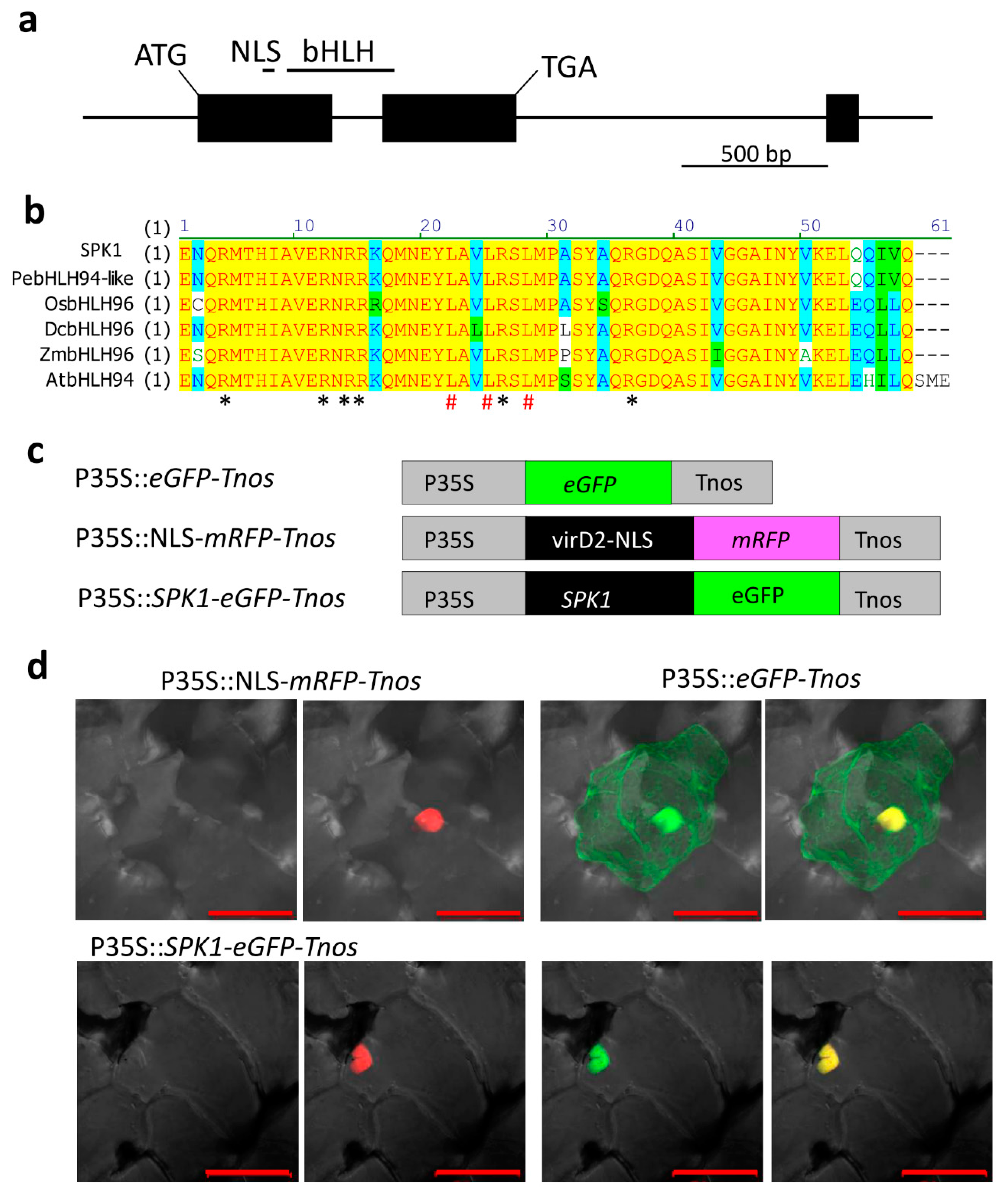 Ijms 20 05406 g003 550