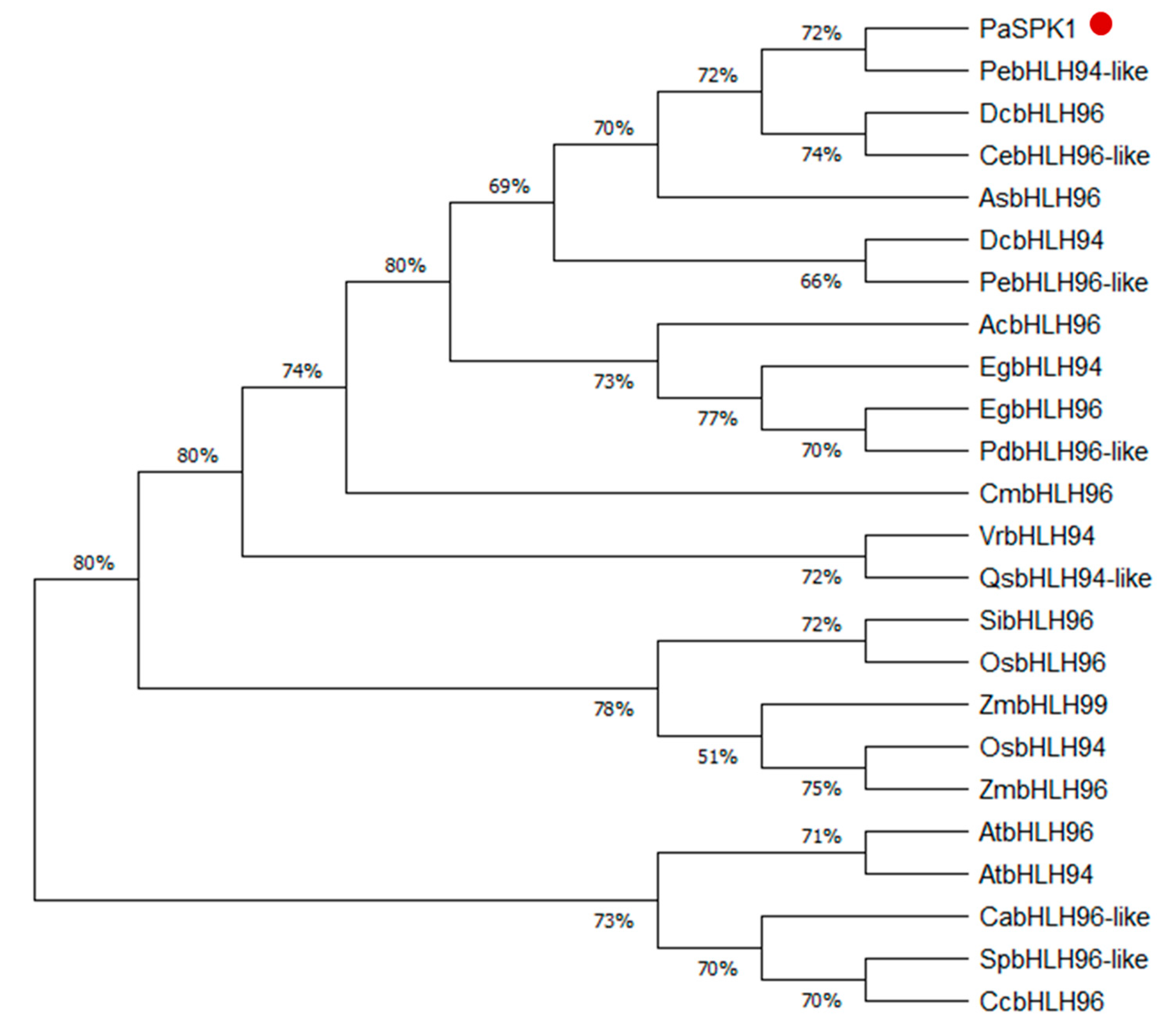 Ijms 20 05406 g004 550