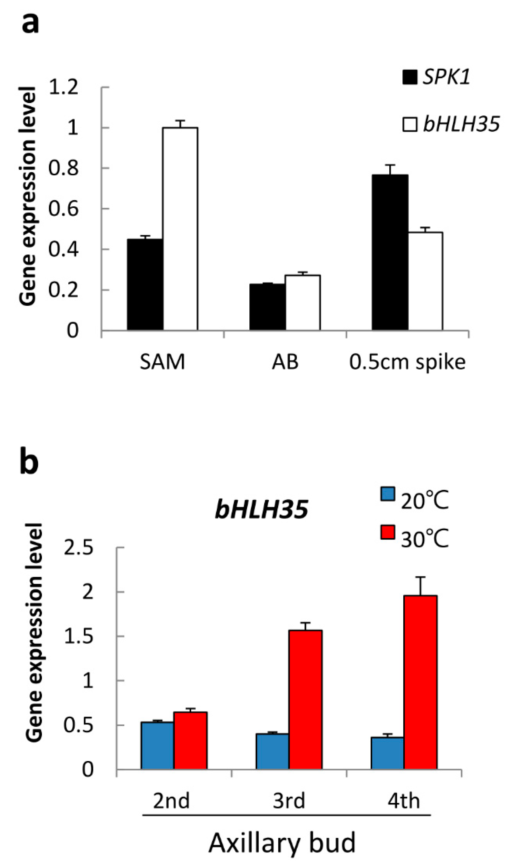 Ijms 20 05406 g006 550