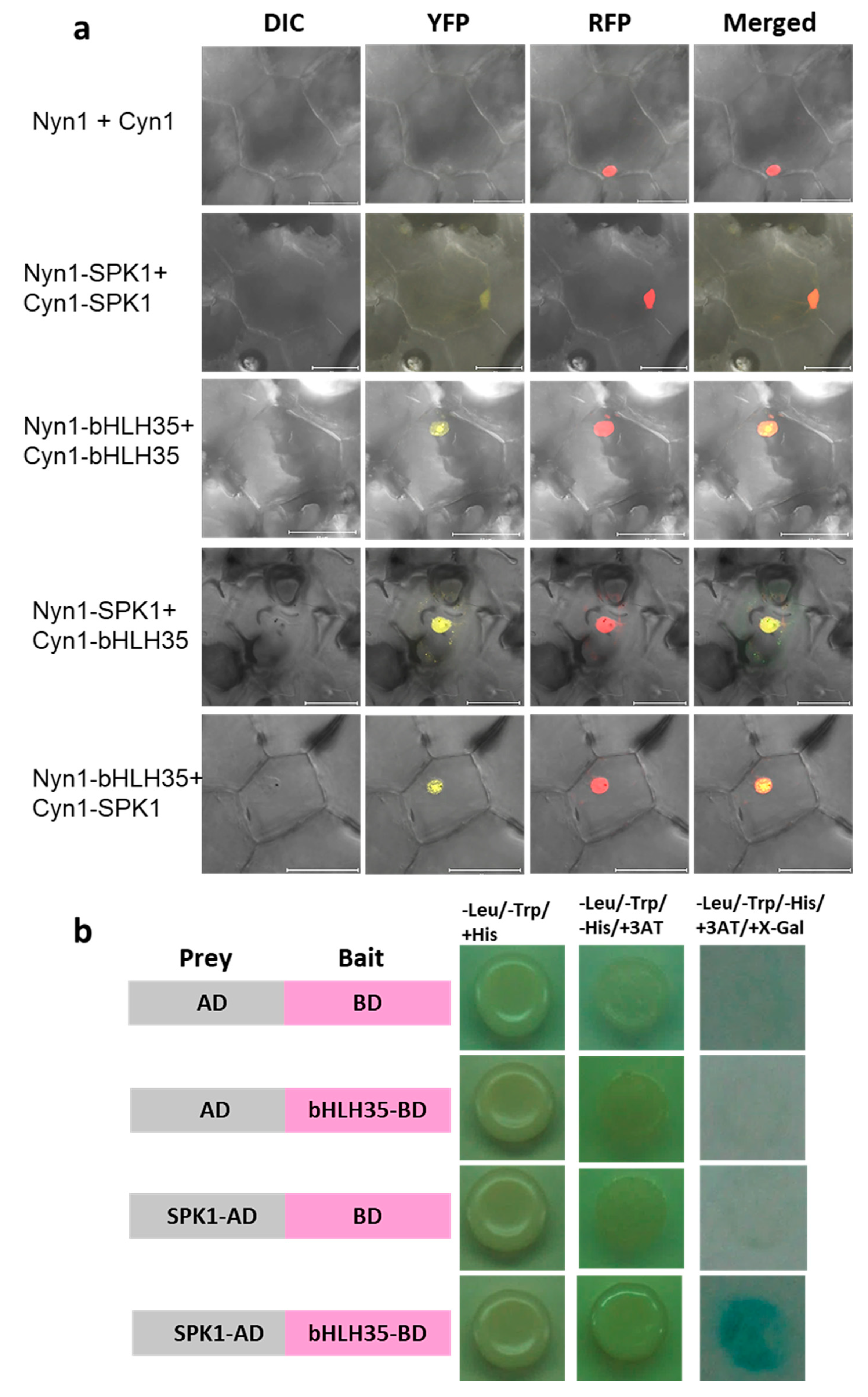 Ijms 20 05406 g007 550