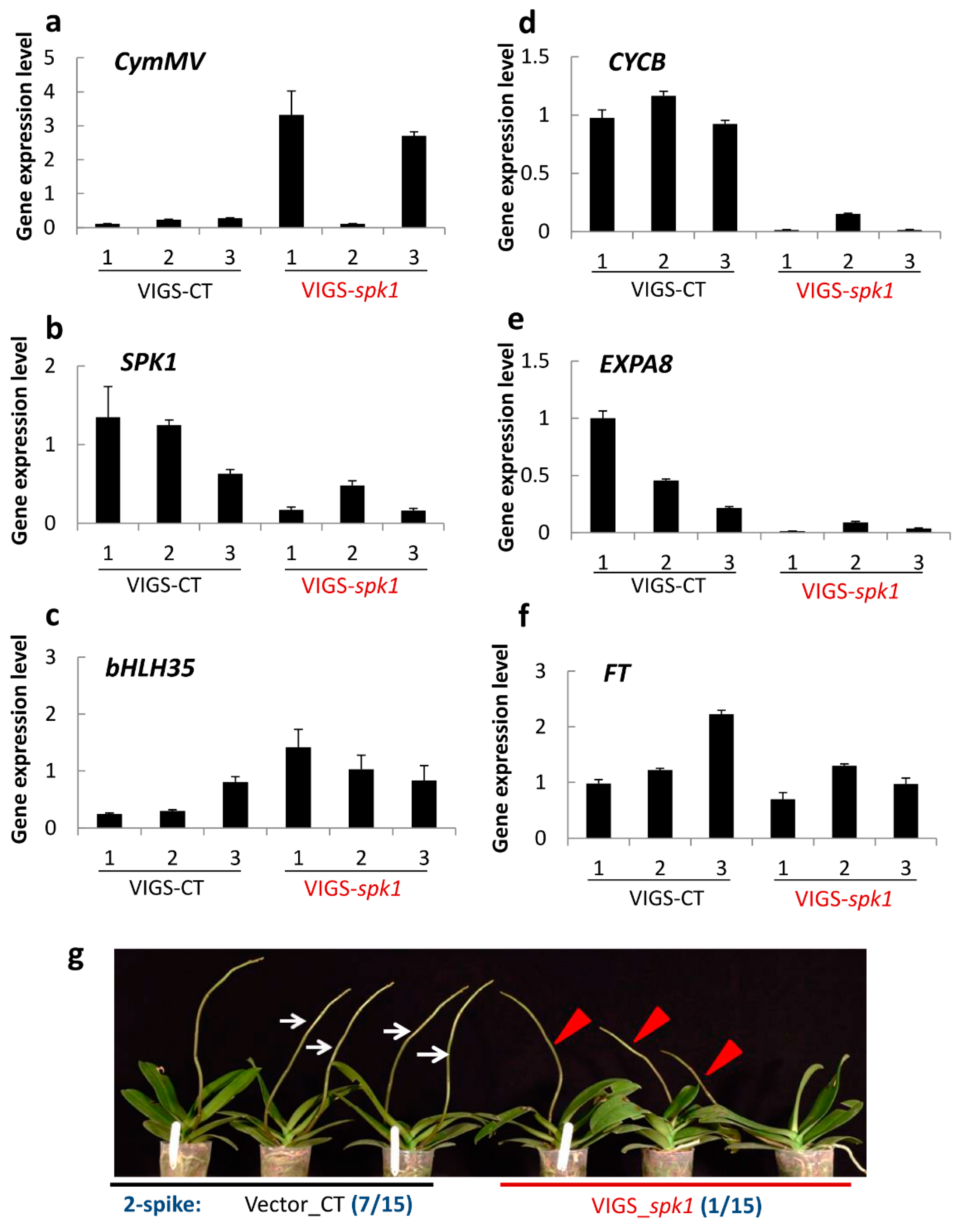 Ijms 20 05406 g008 550