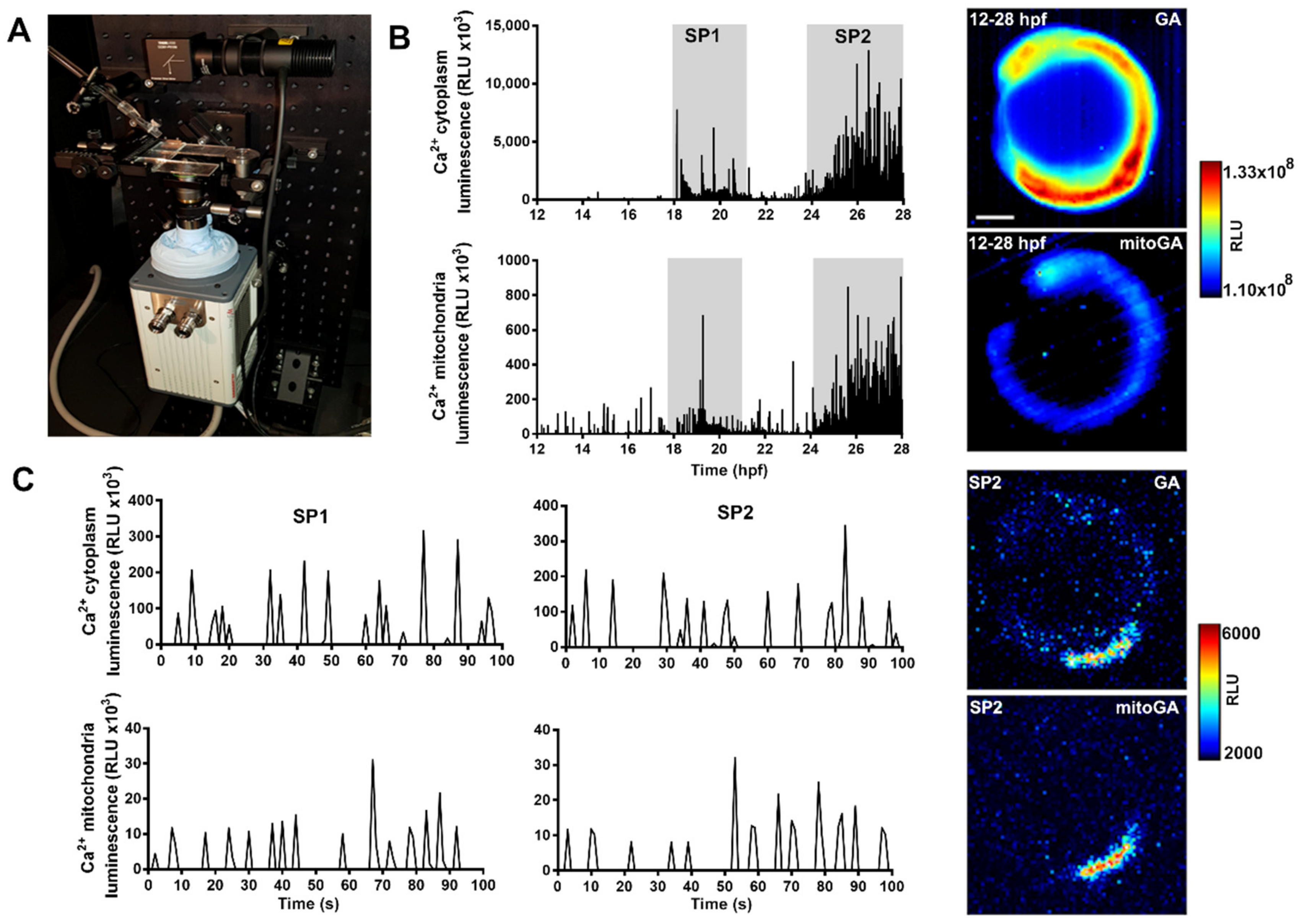 Ijms 20 05409 g003 Ijms 20 05409 g003
